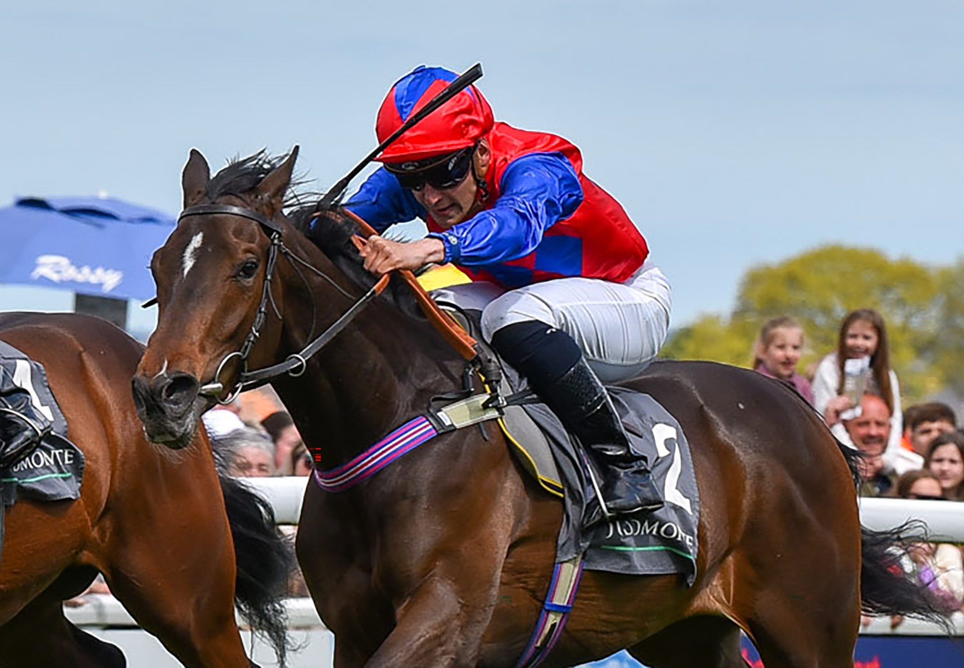 Nellie Laylax (Calyx) winning on debut at Beverley