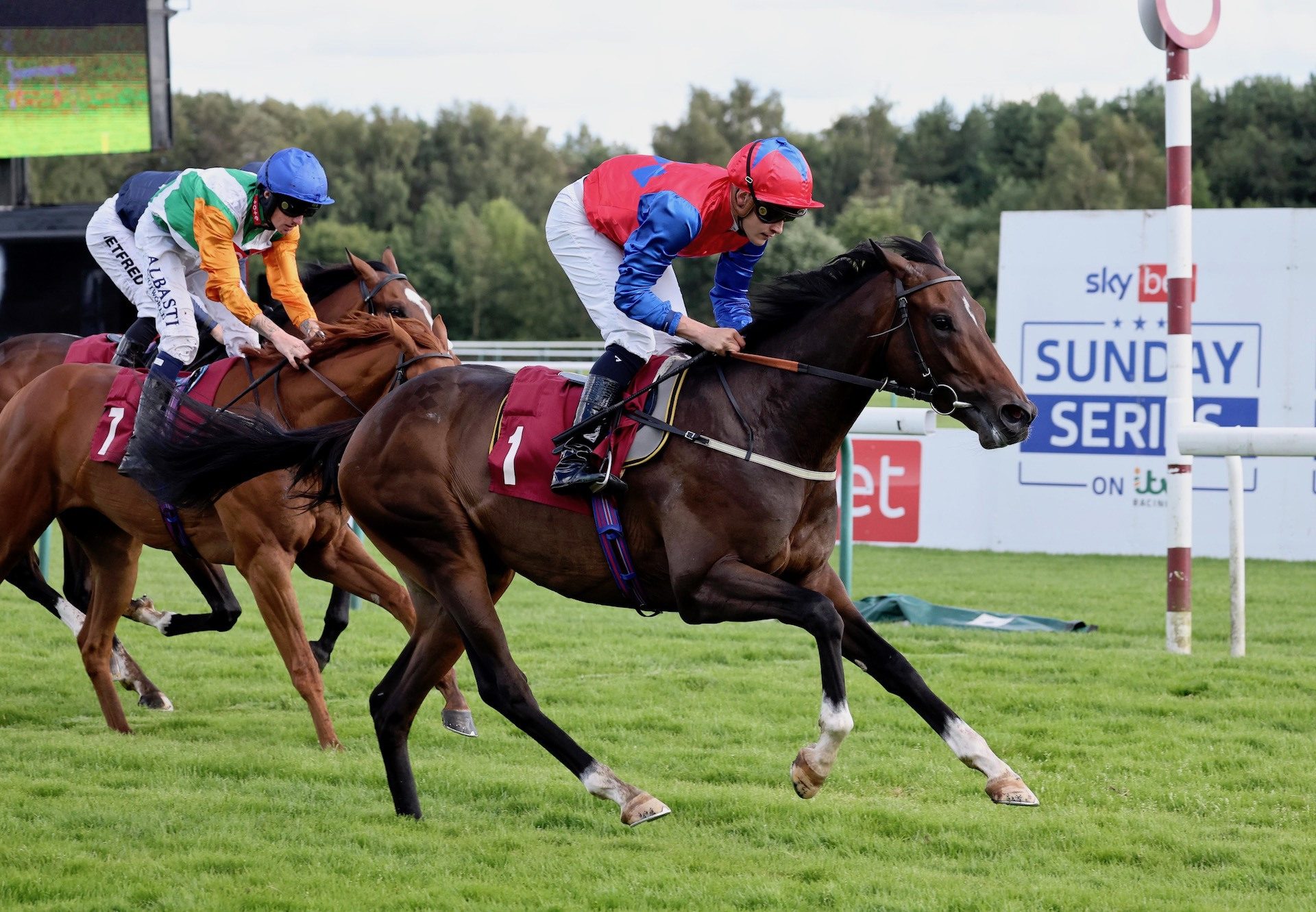 Nellie Leylax (Calyx) Wins At Haydock