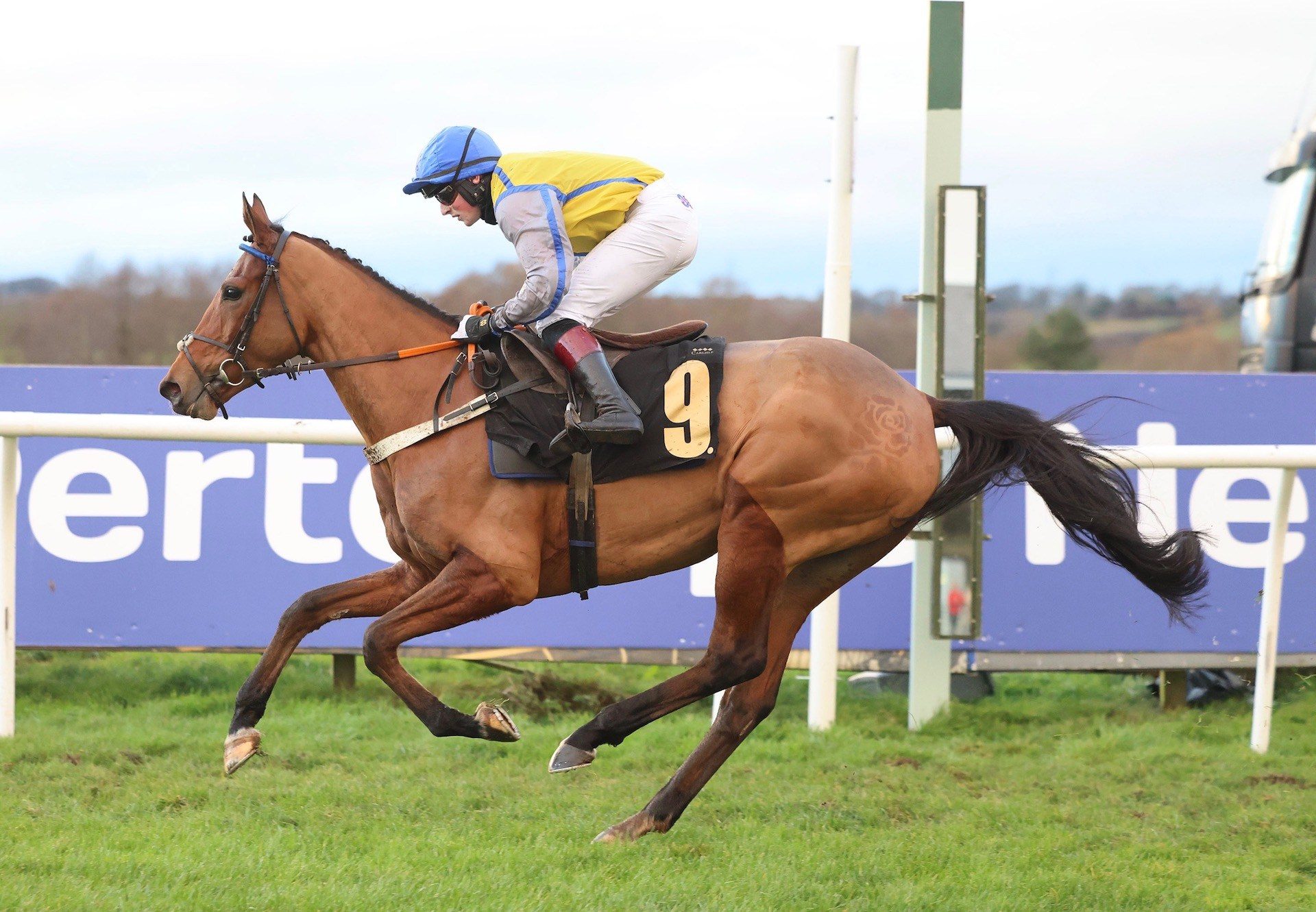 Nells Bells (Milan) Impresses At Carlisle