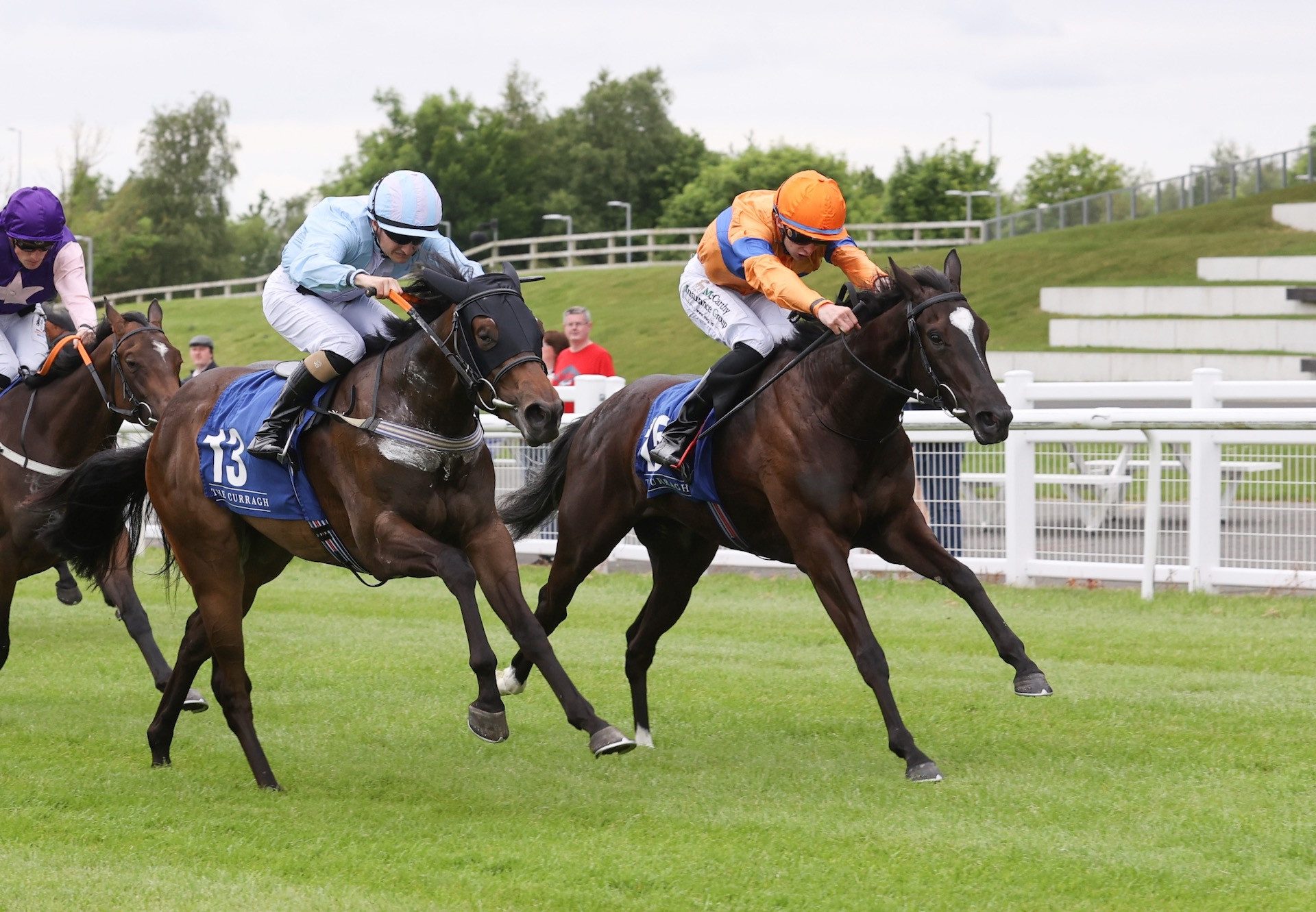 Nemonte (Ten Sovereigns) Wins On Debut at the Curragh