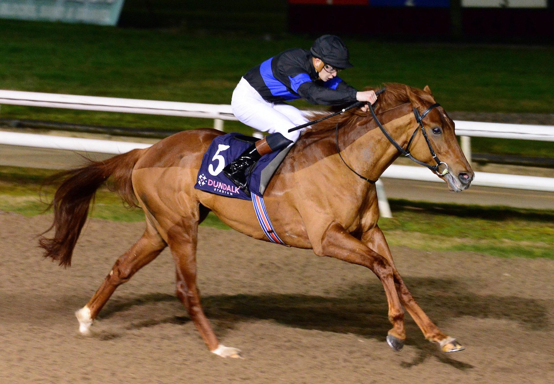 Never Before (No Nay Never) Wins A Dundalk Maiden
