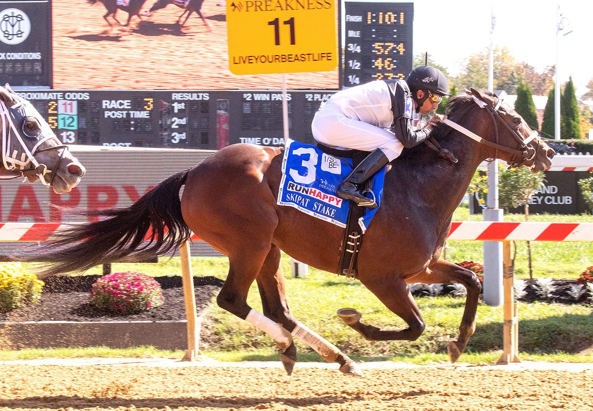 Never Enough Time (Munnings) Wins Skipat Stakes At Pimlico