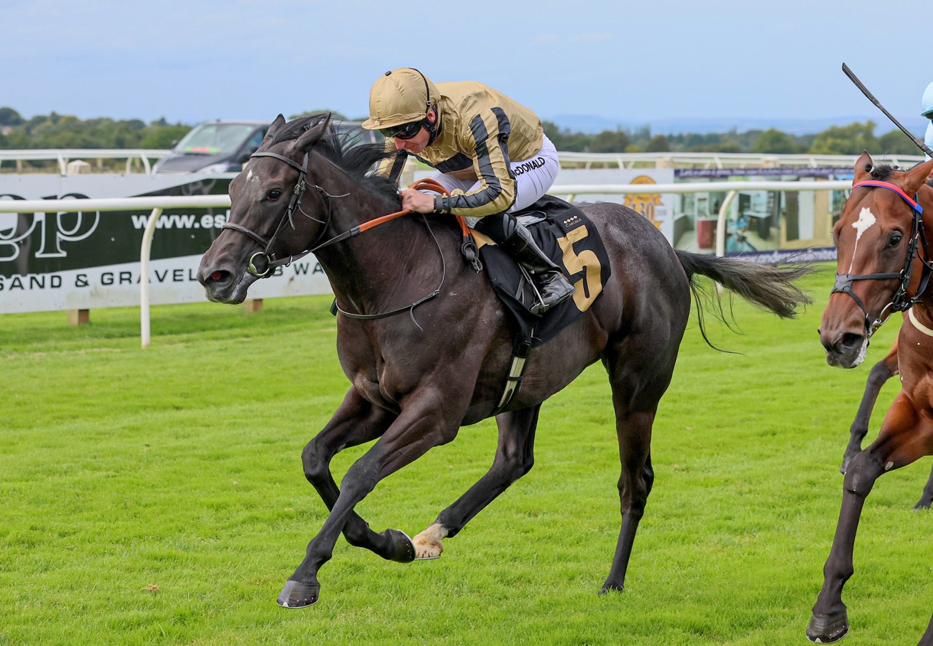 Neverstopdreaming (No Nay Never) Wins At Carlisle