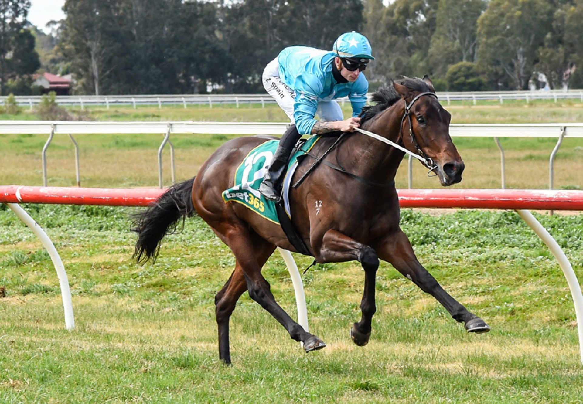 Night Raid (Vancouver) winning a maiden at Tatura