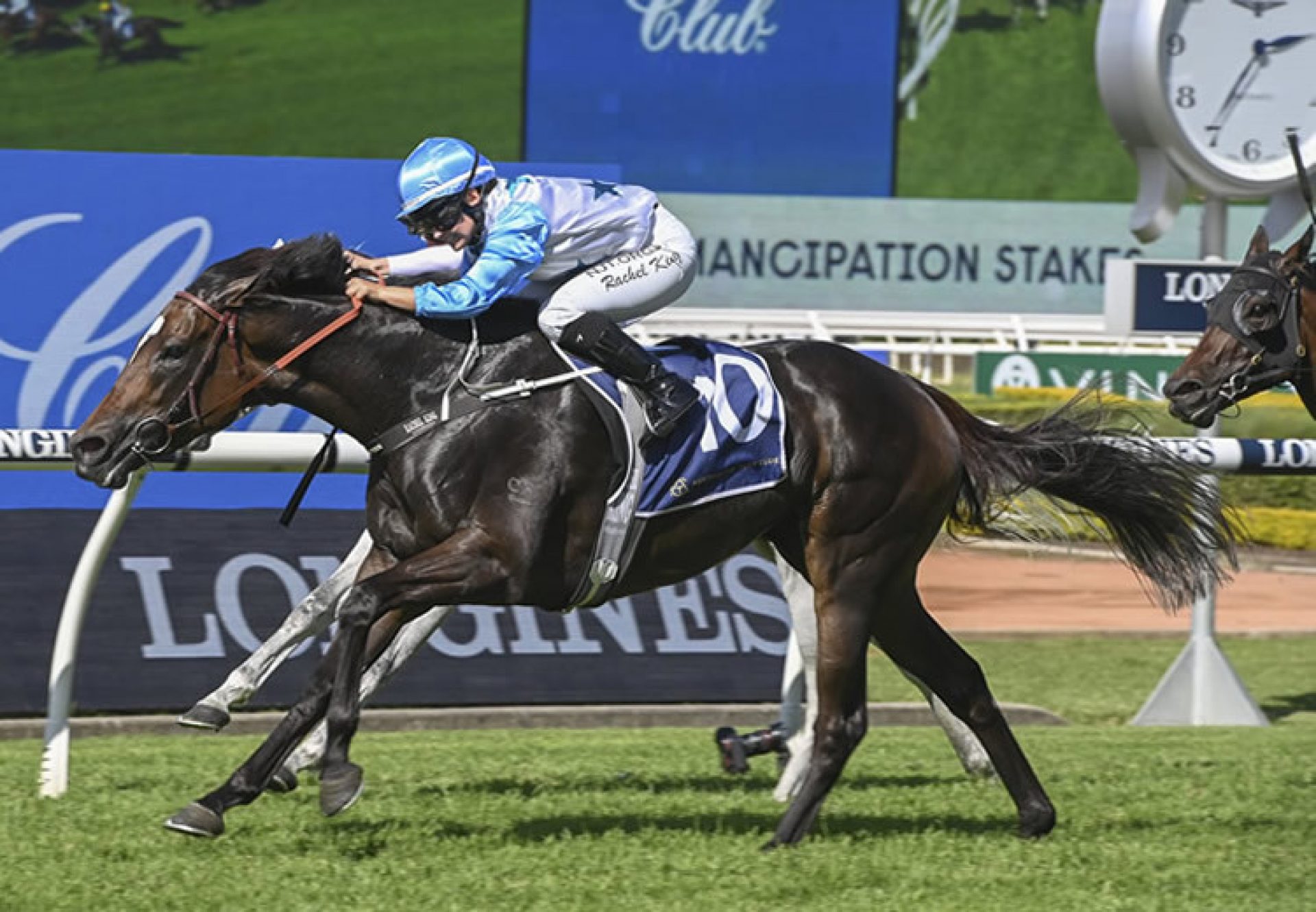 Nimalee (So You Think) winning the Gr.2 Emancipation Stakes at Rosehill