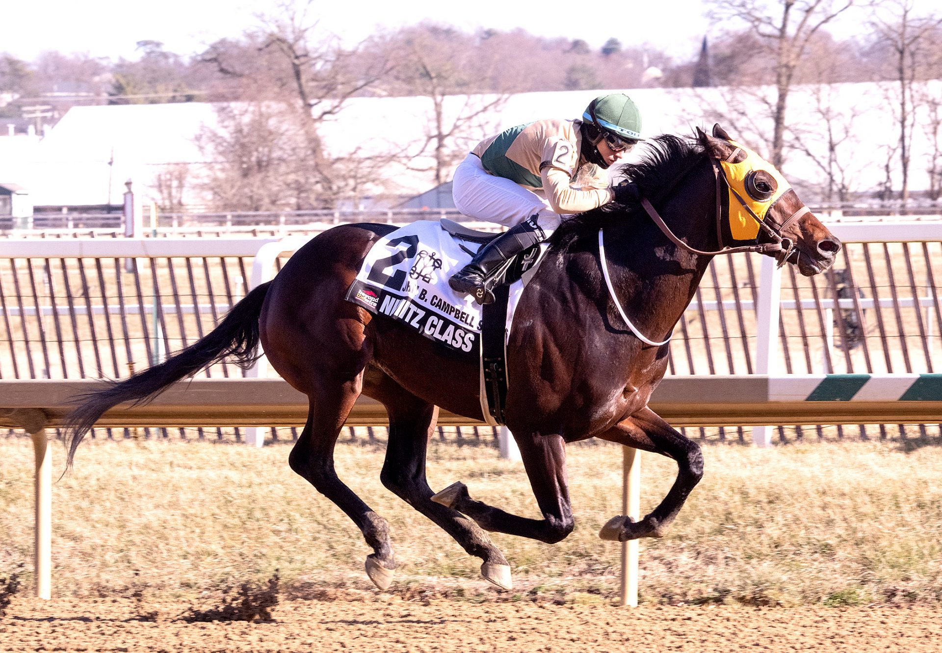 Nimitz Class (Munnings) Wins John B Campbell Stakes at Laurel Park