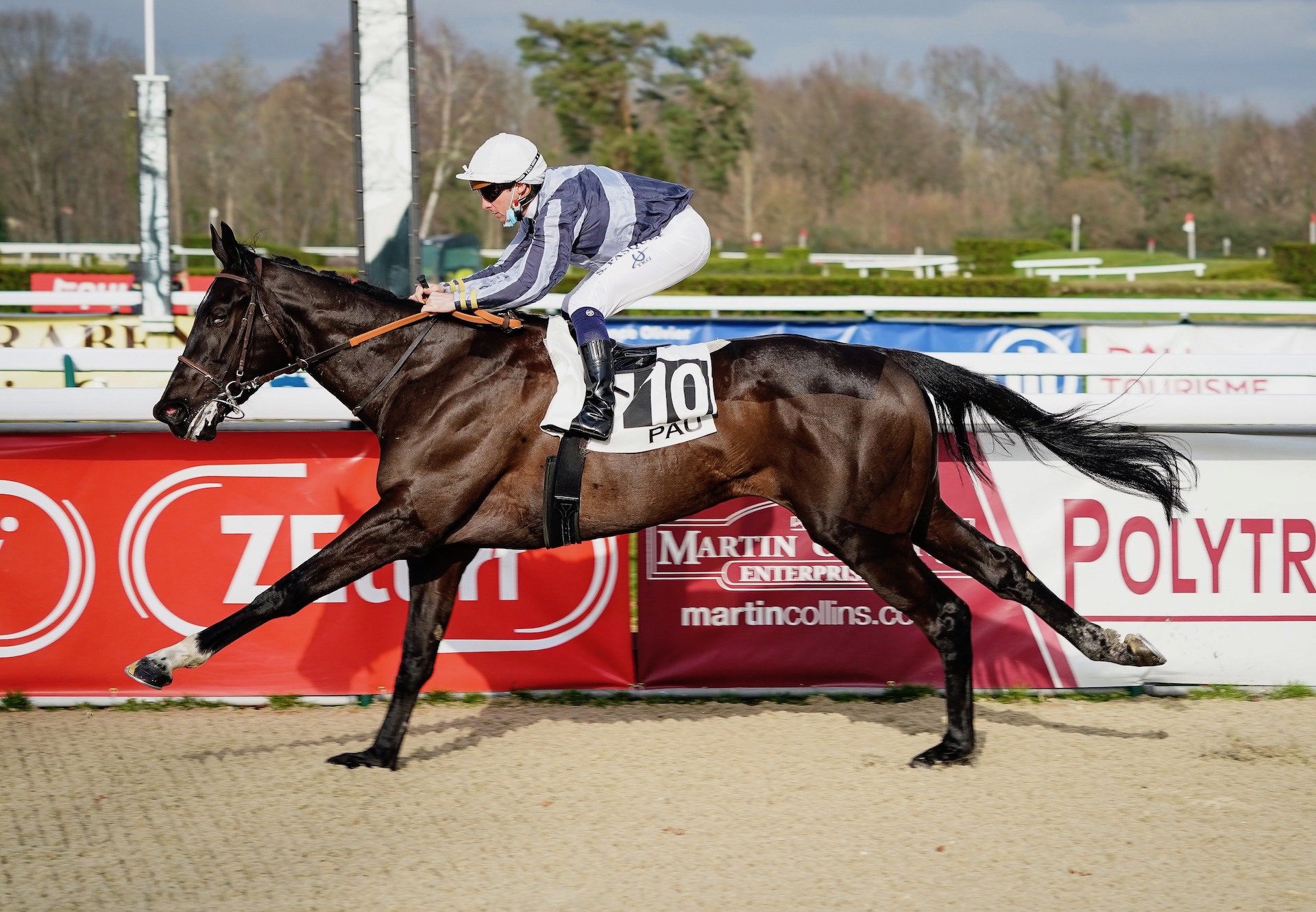 Ninth Titan (Wootton Bassett) Makes A Winning Debut At Pau