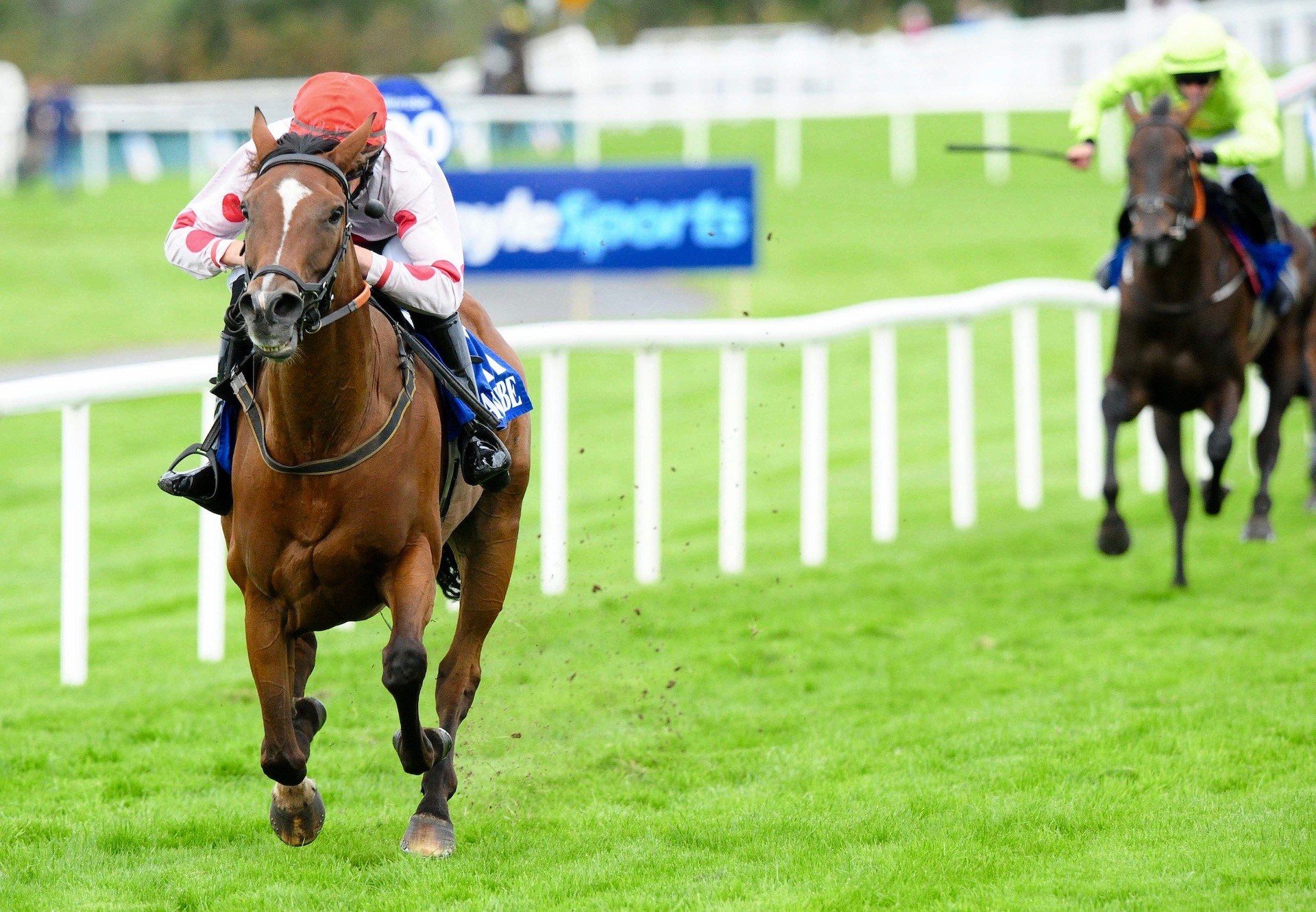 No Memory (Westerner) Wins The Mares Maiden Hurdle At Ballinrobe