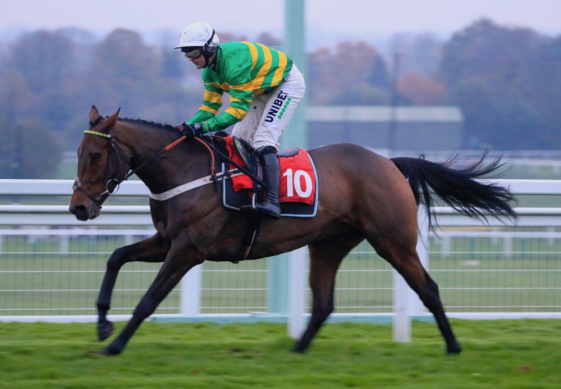 No Ordinary Joe (Getaway) Wins The Bumper At Sandown