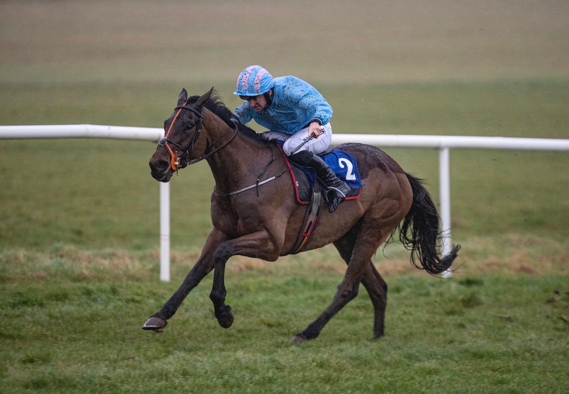 Noble Yeats (Yeats) Strides Clear In The Thurles Bumper