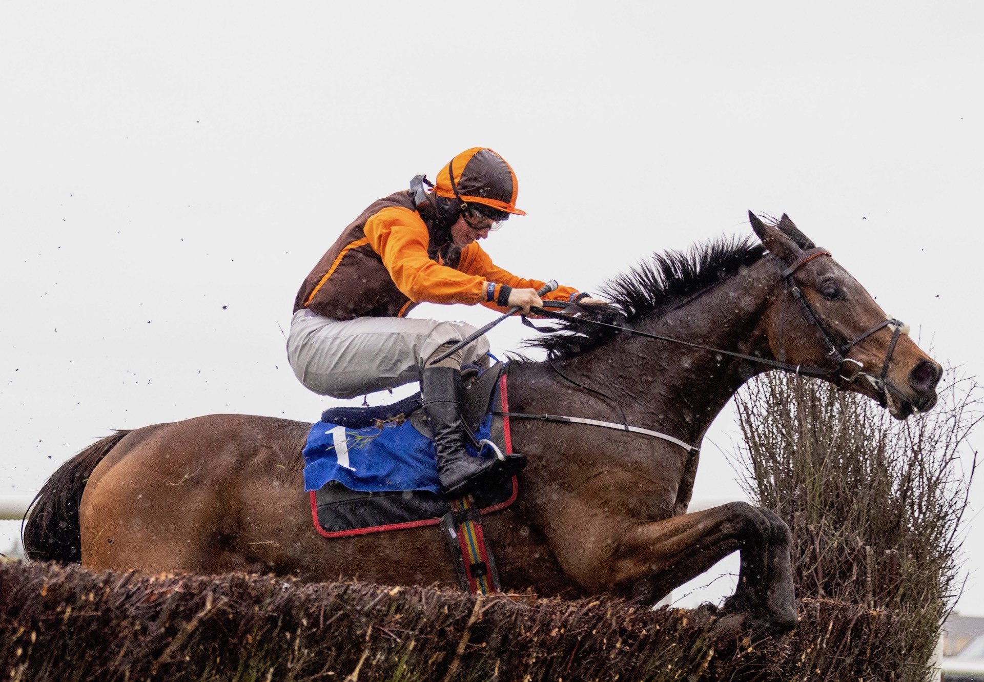 Noble Yeats (Yeats) Wins The Listed Chase At Wexford