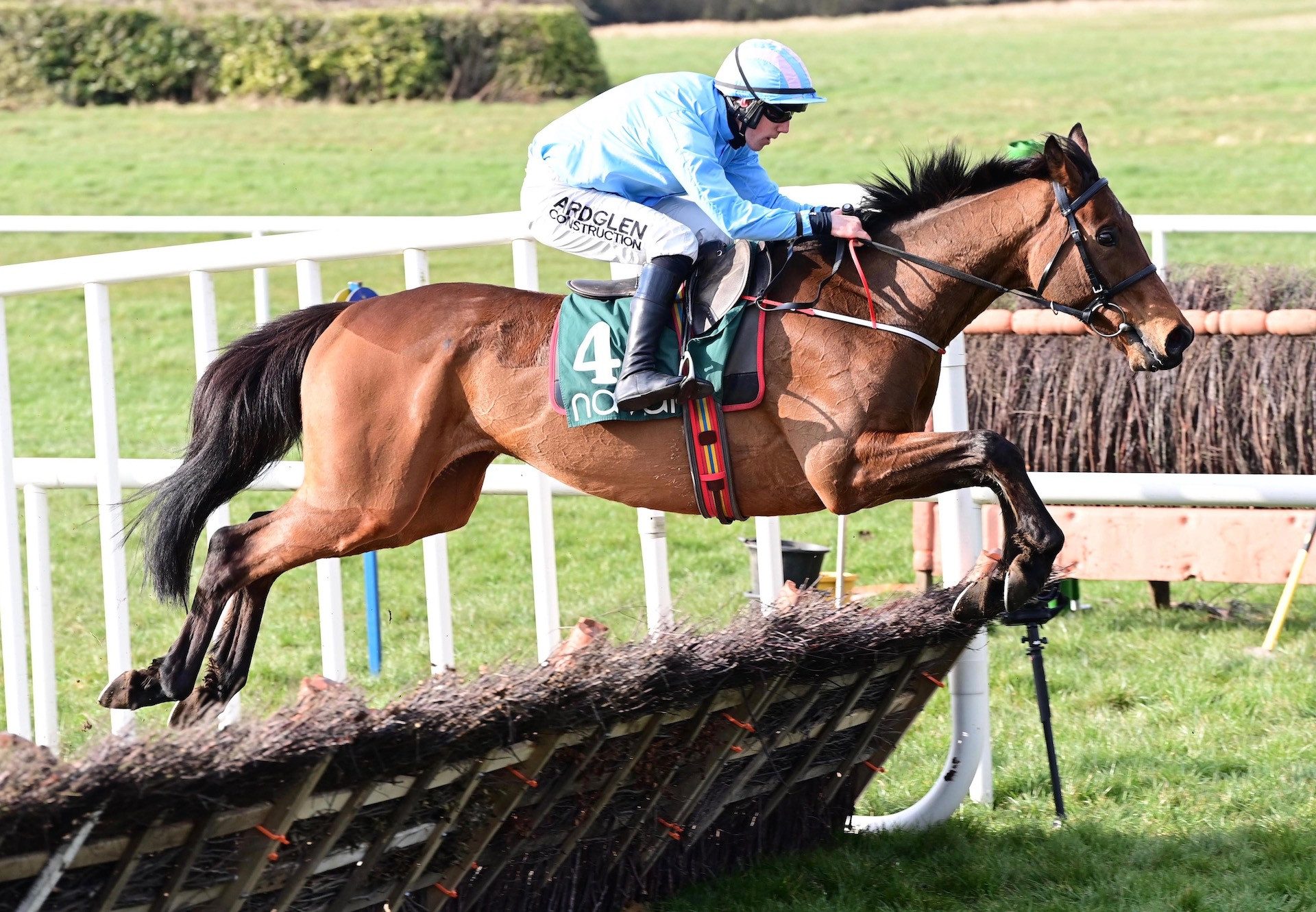 Noble Yeats (Yeats) Wins The Maiden Hurdle At Navan