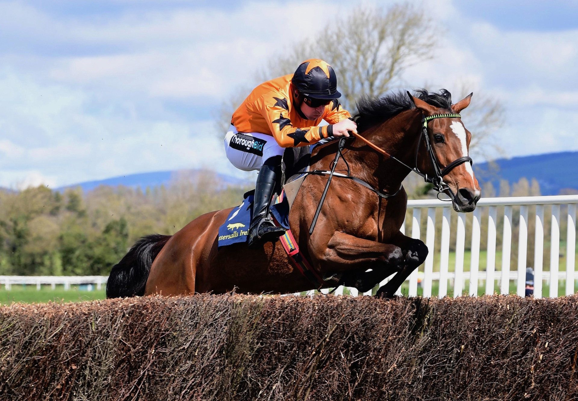 North Of Nashville (Soldier Of Fortune) Wins The Four Year Old Mares Maiden P2 P At Tipperary