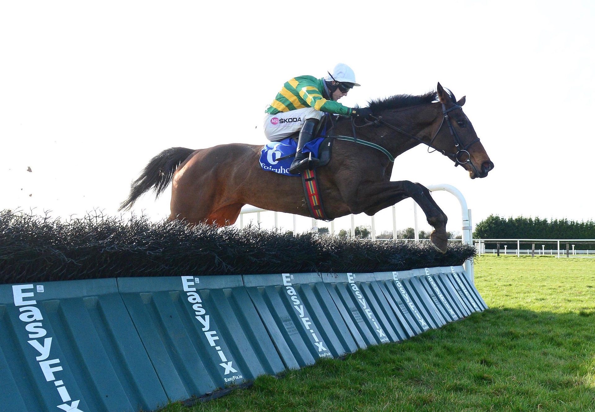 Norwigi (Yeats) Wins The Mares Maiden Hurdle At Fairyhouse