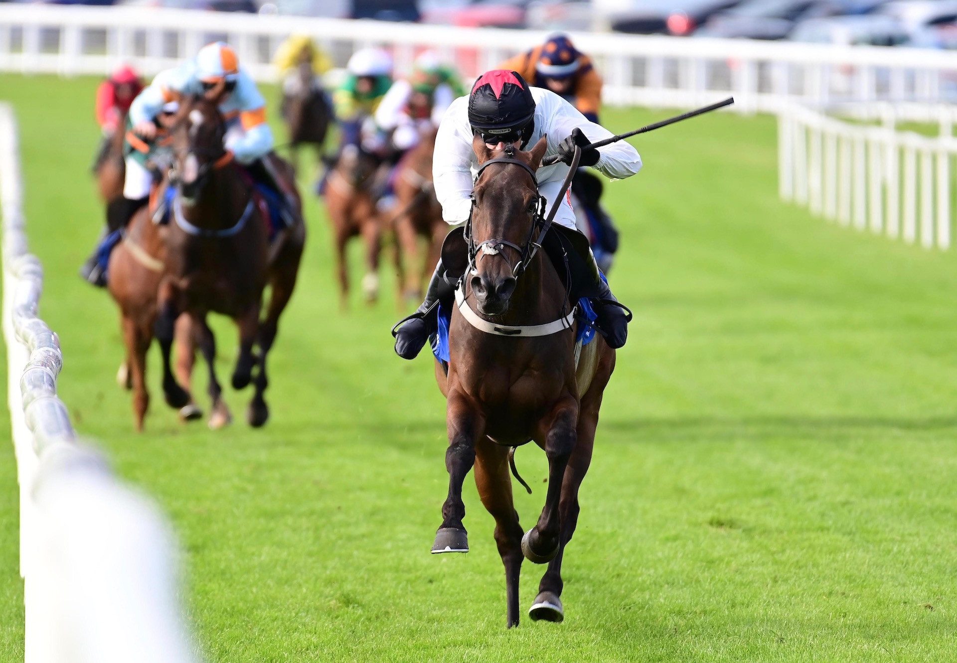 Nos Na Gaoithe (Yeats) Wins Her Maiden Hurdle At Ballinrobe