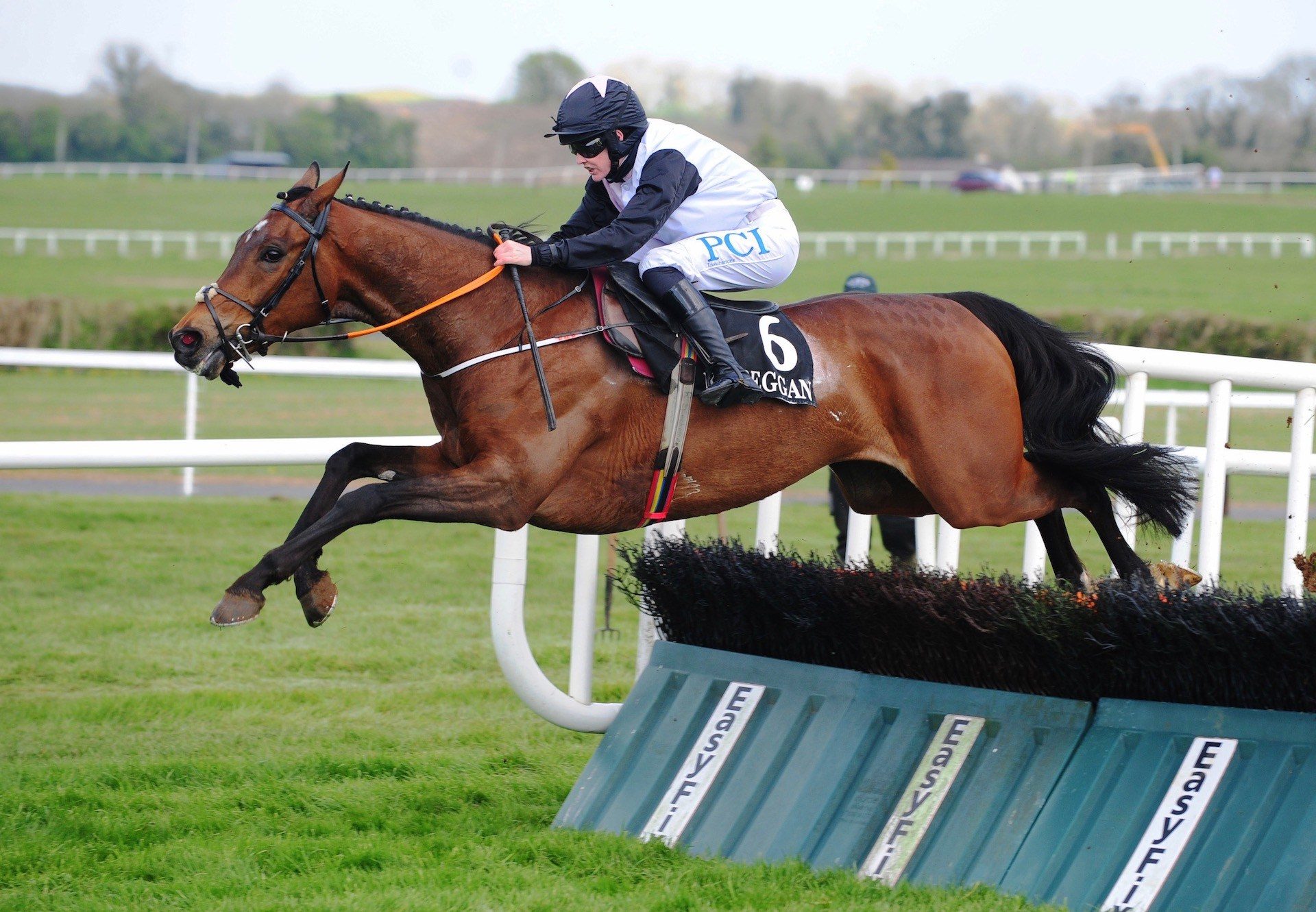 Not Available (Milan) Wins The Maiden Hurdle At Kilbeggan