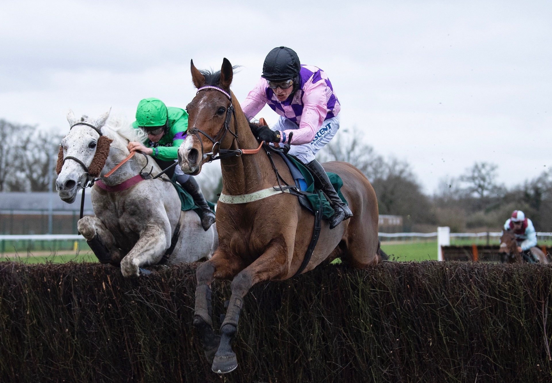 Notachance (Mahler) Wins The Grade 3 Handicap Chase At Warwick