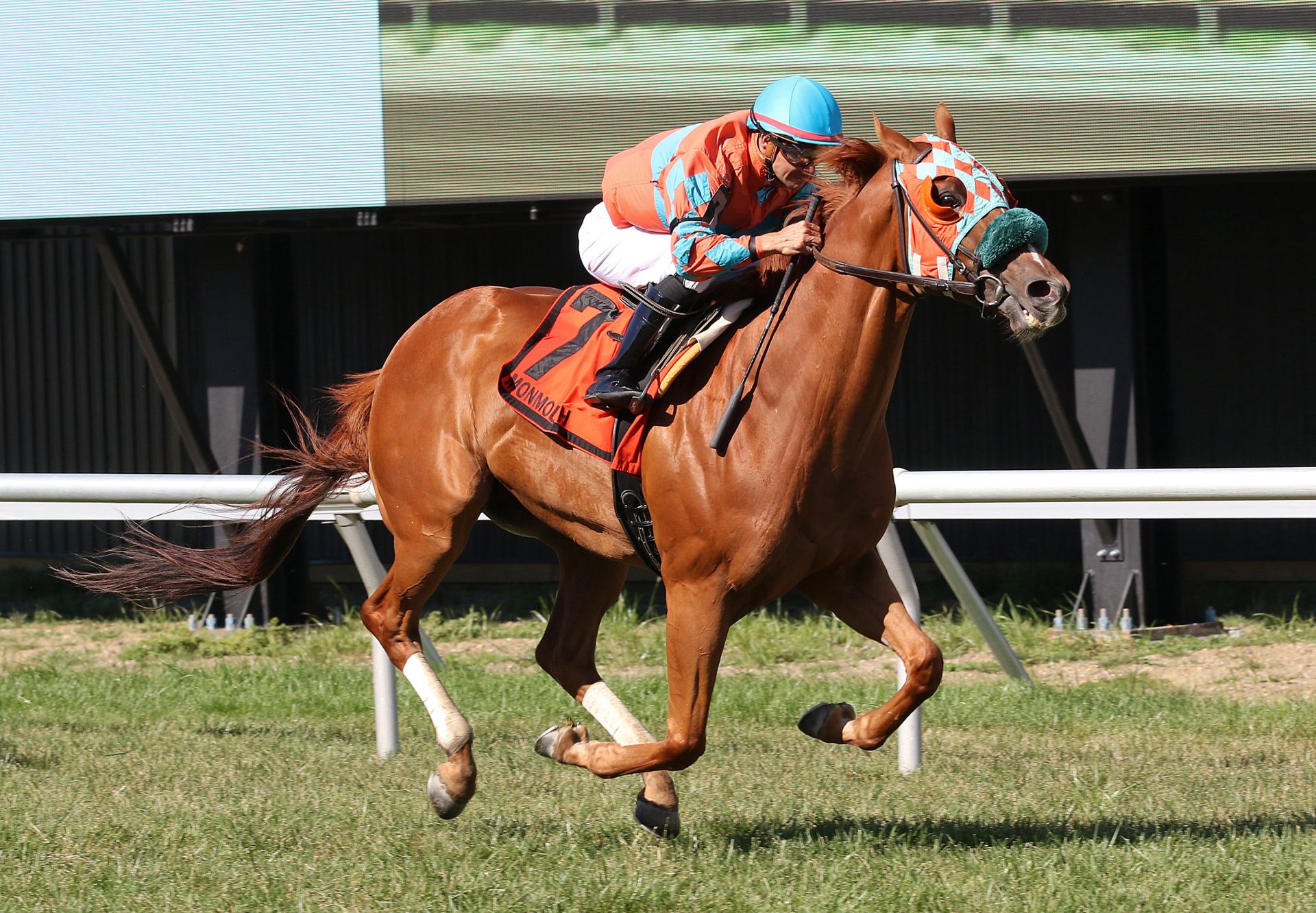 Nothing Better (Munnings) Wins Rainbow Heir Stakes at Monmouth Park