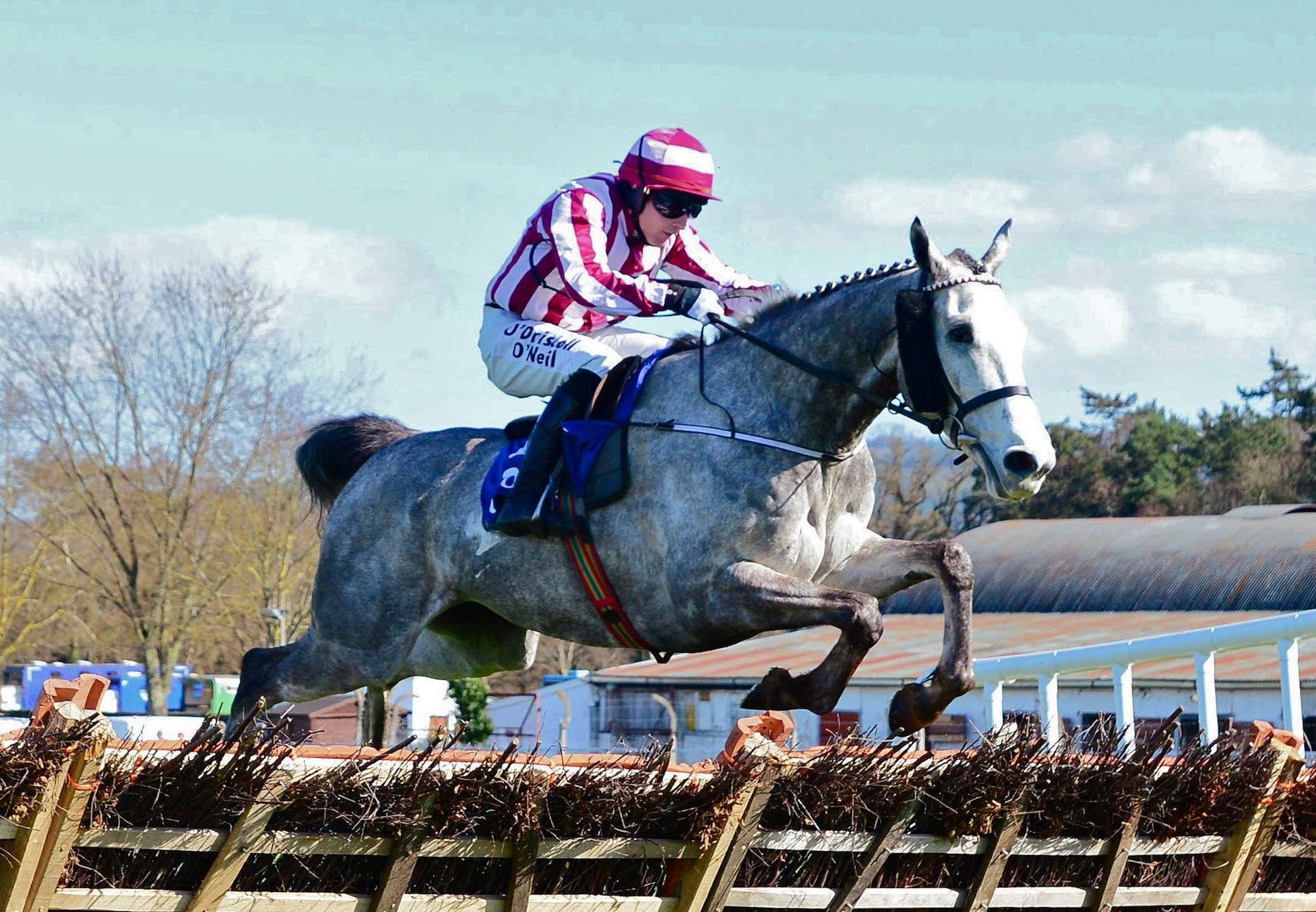 Noureev Becomes The Latest Winner By Soldier Of Fortune At Clonmel