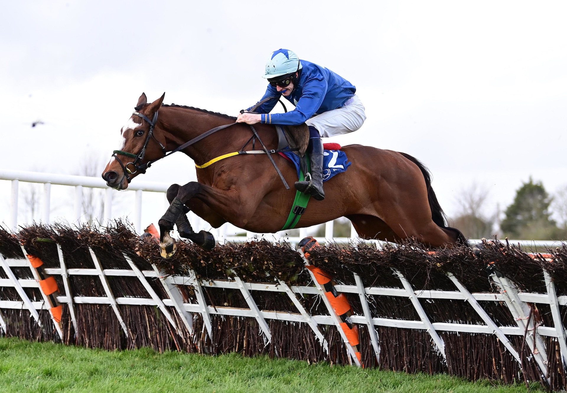 Nucky Johnson (Vadamos) Wins The Rated Novice Hurdle At Naas