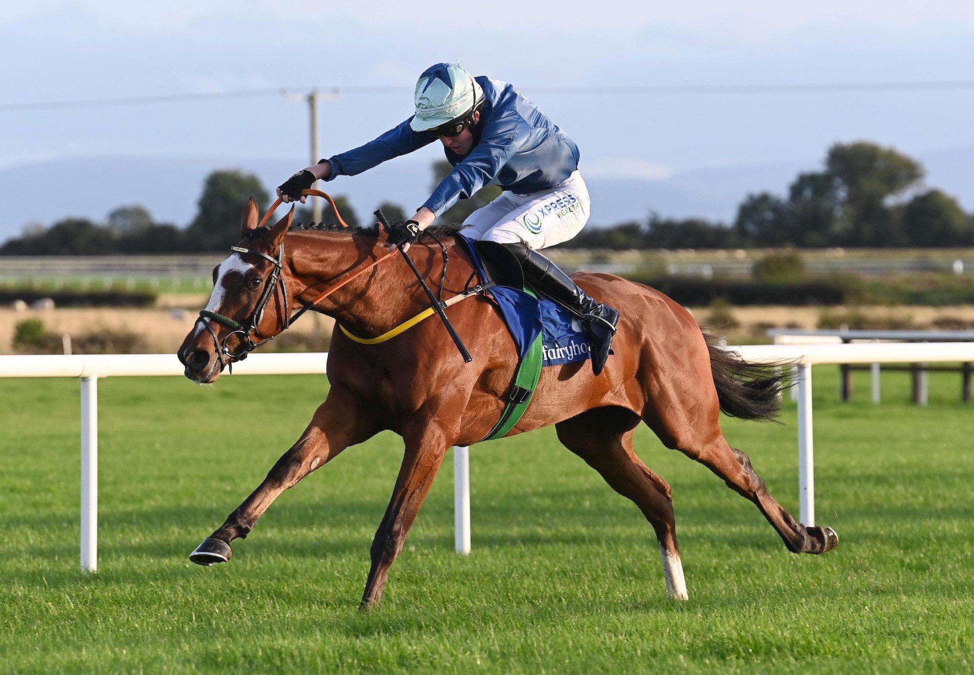 Nucky Johnson (Vadamos) Wins The Bumper At Fairyhouse