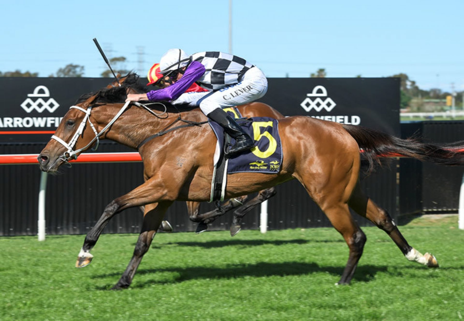 Nudge (Fasnet Rock) winning the Gr.3 Pam O'Neill Stakes at Doomben