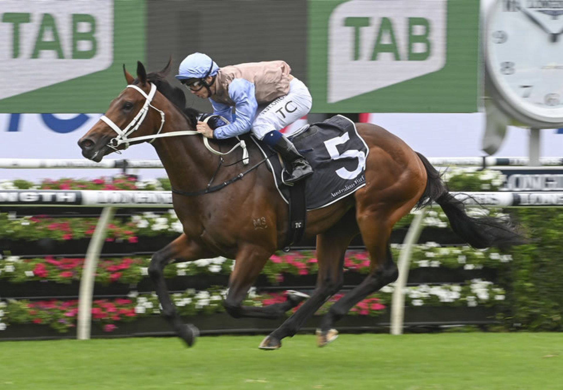 O'President (Fastnet Rock) wins the Gr.2 Skyline Stakes at Randwick