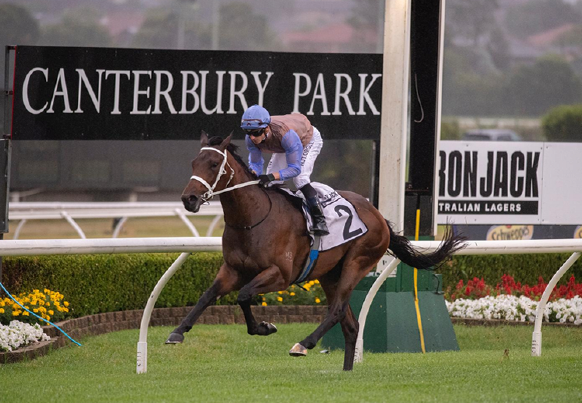 O'President (Fastnet Rock) winning at Canterbury