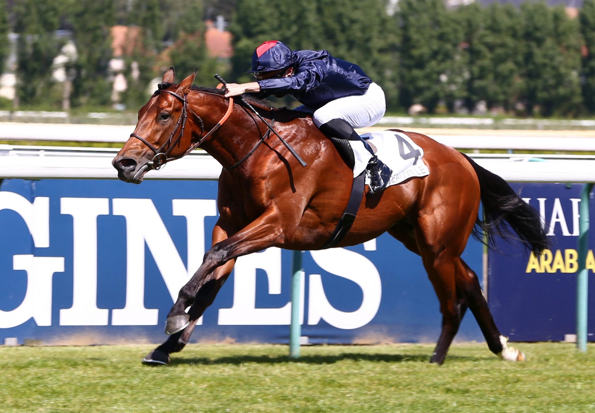 American Pharoah S Ocean Atlantique Wins Prix De Suresnes