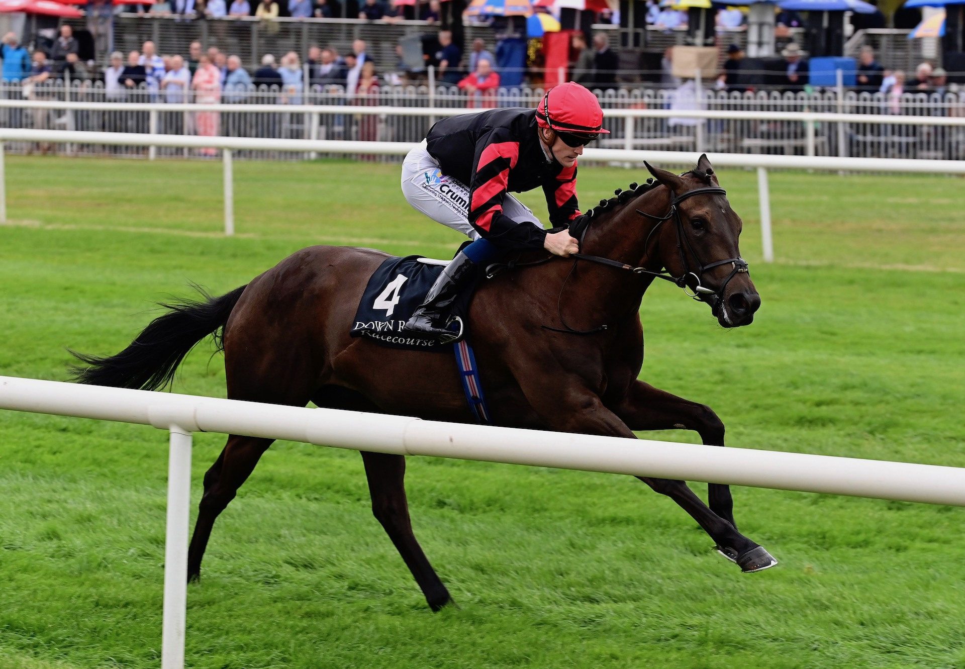 Ocean Jewel (Sioux Nation) Wins Her Maiden At Down Royal