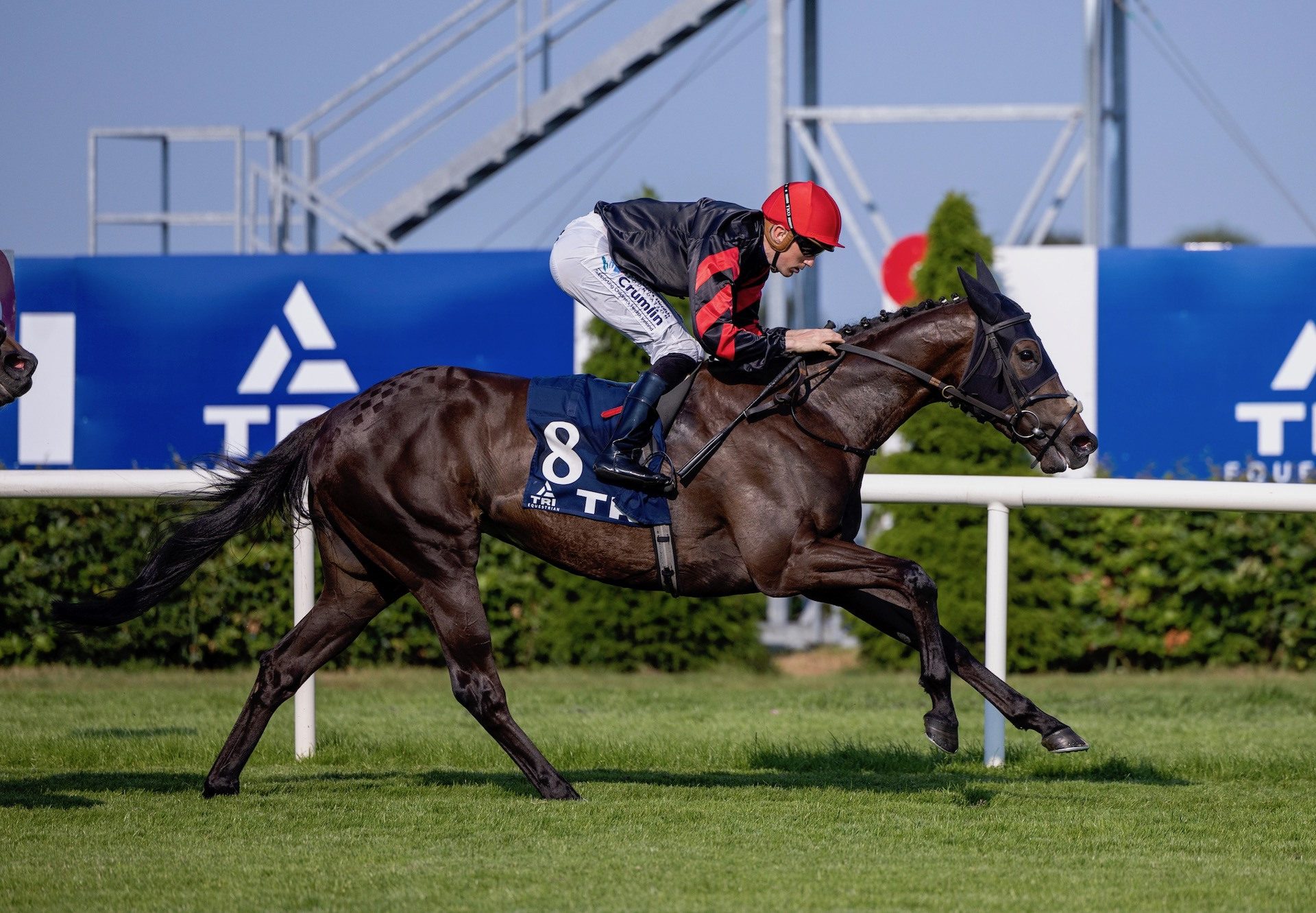 Ocean Jewel (Sioux Nation) Wins The Group 3 Ballycorus Stakes at Leopardstown