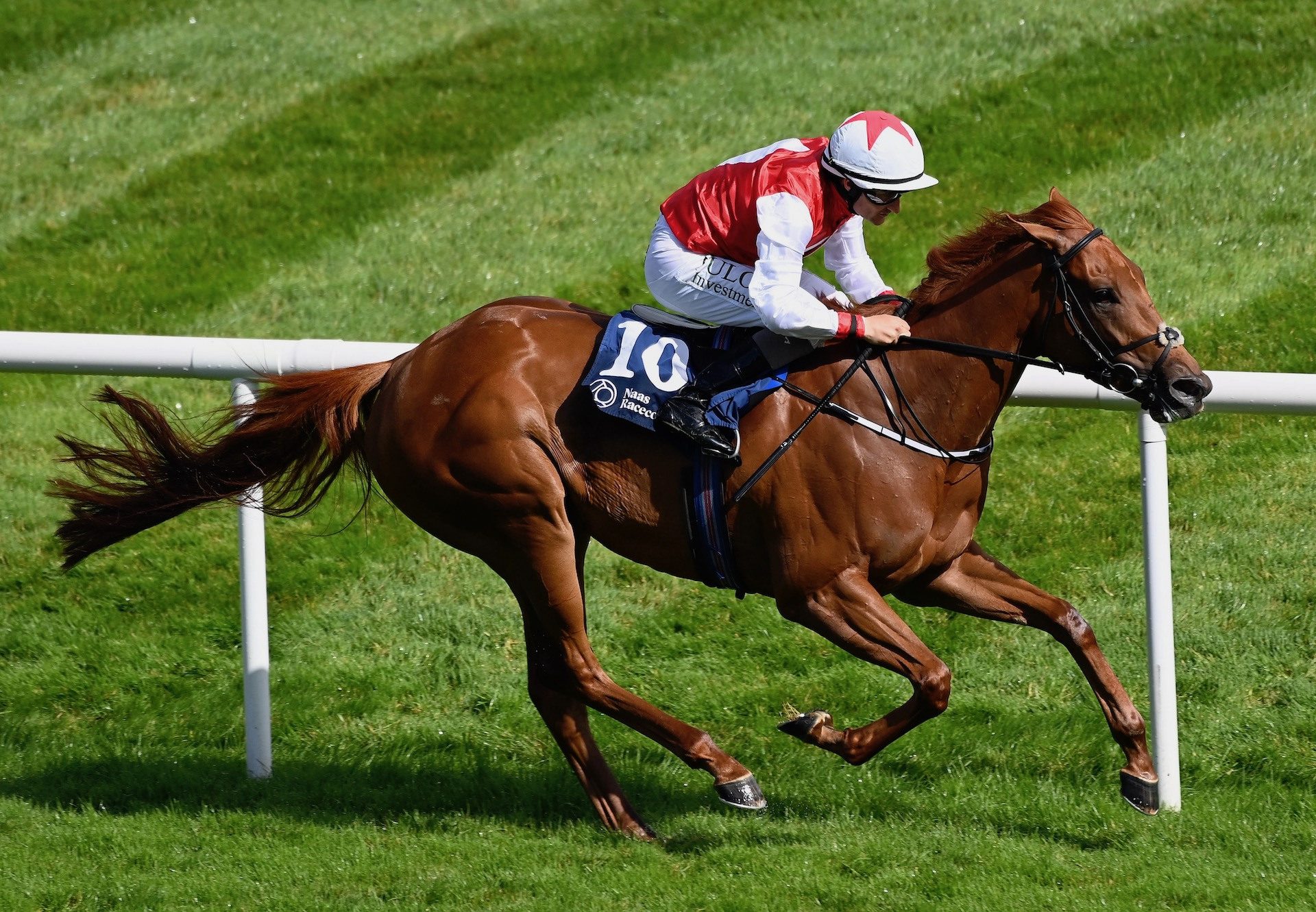 Ocean Quest (Sioux Nation) Wins The Group 3 Ballyogan Stakes at Naas