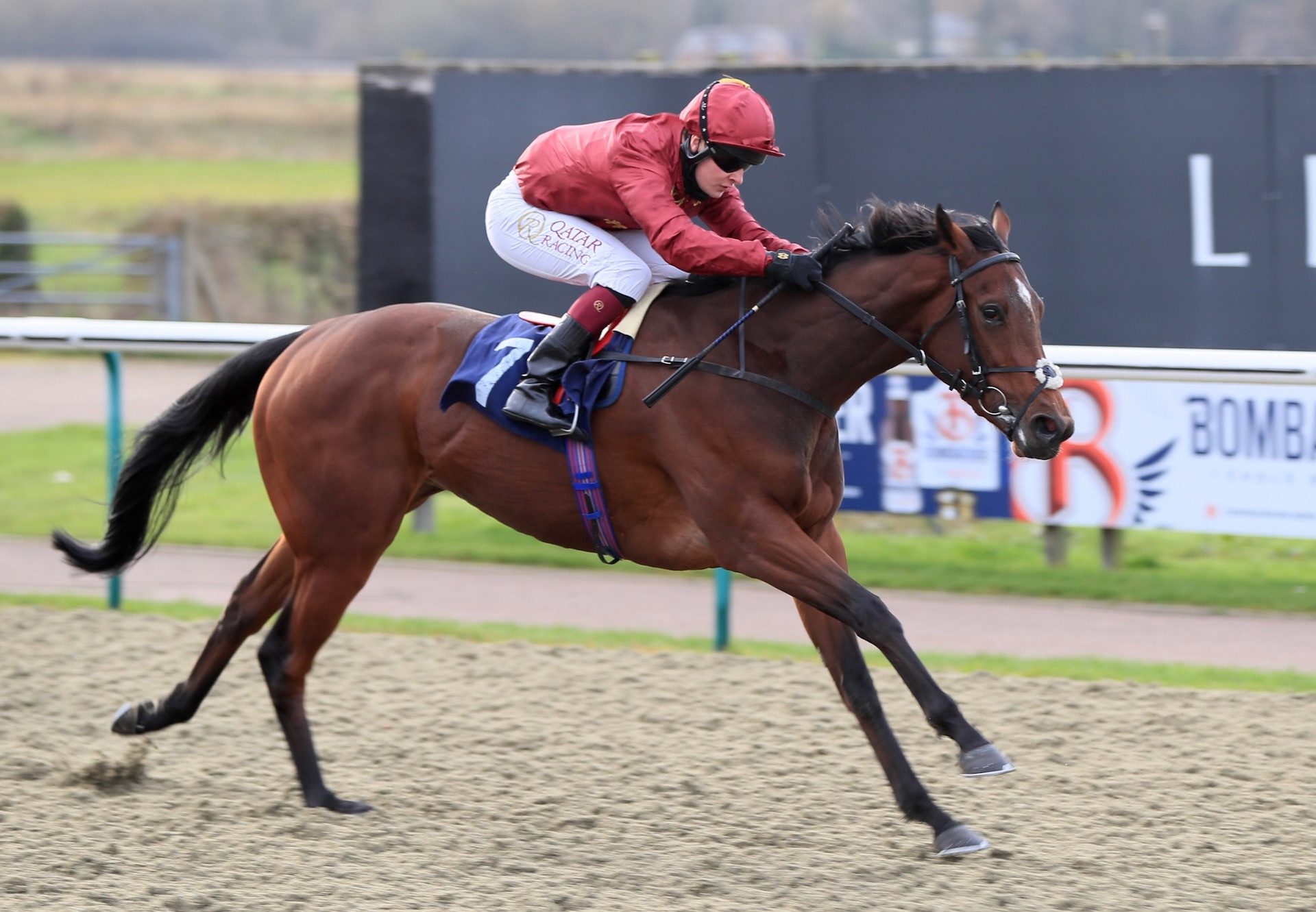 Ocean Road (Australia) Wins The Fillies Novice Stakes At Lingfield