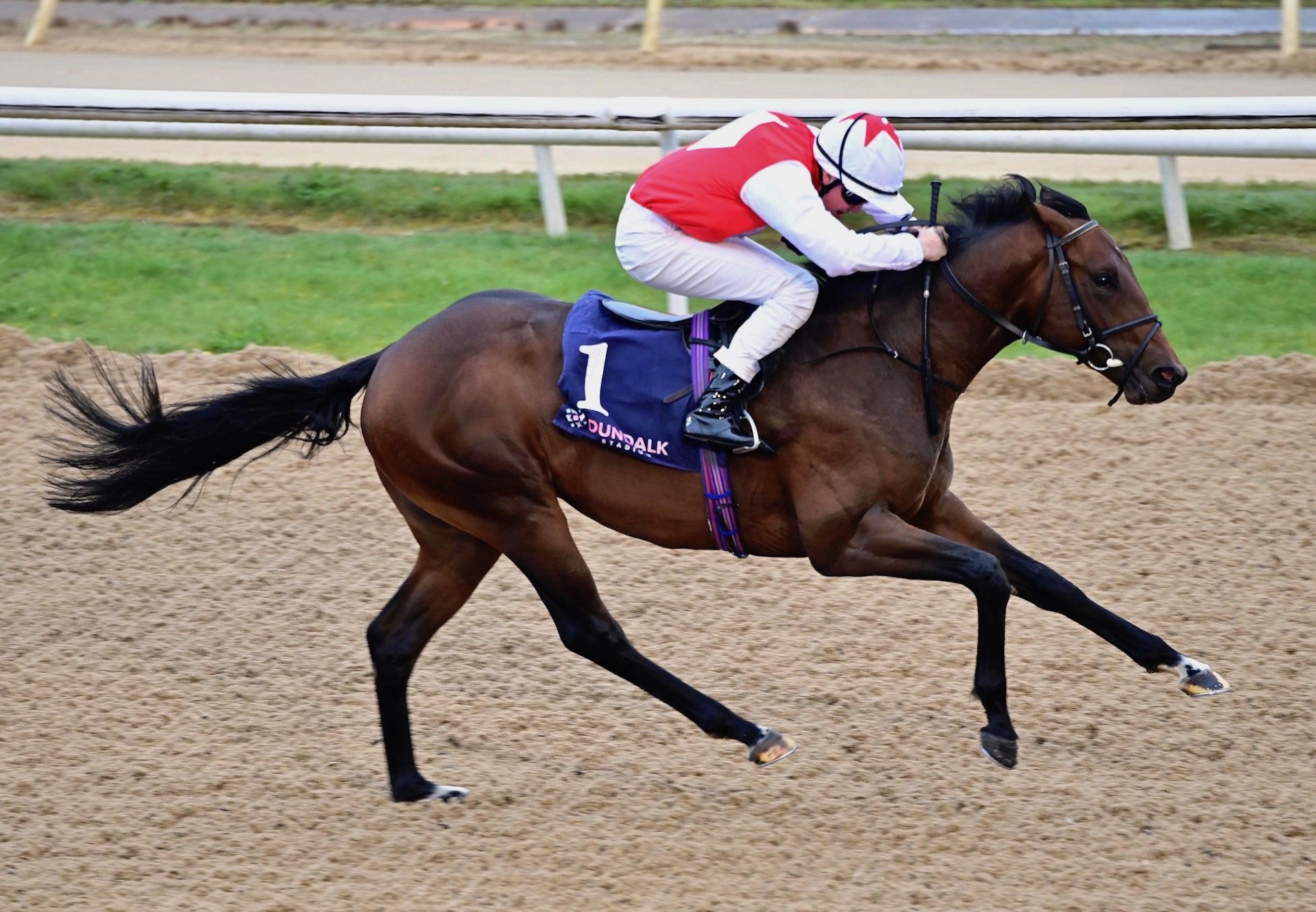 Ocean Vision (U S Navy Flag) Makes A Winning Debut Dundalk