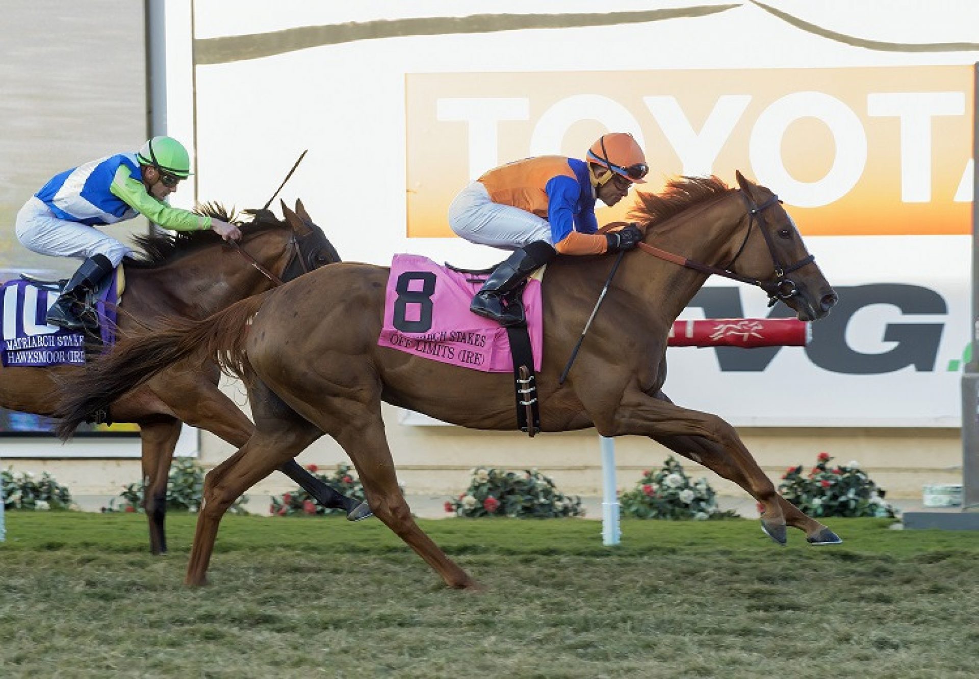 Off Limits (Mastercraftsman) winning the G1 Matriarch Stakes at Del Mar