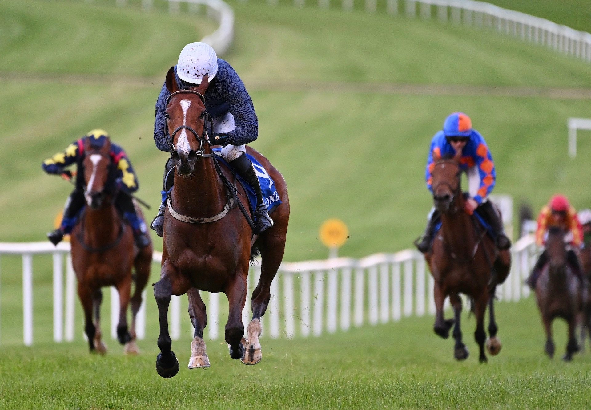 Old Ground (Walk In The Park) Wins The Bumper At Clonmel