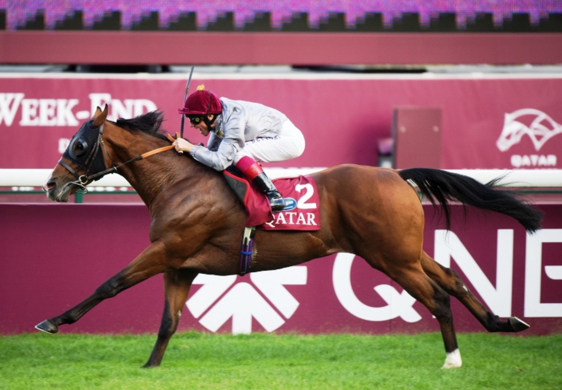 Olympic Glory Prix De La Foret