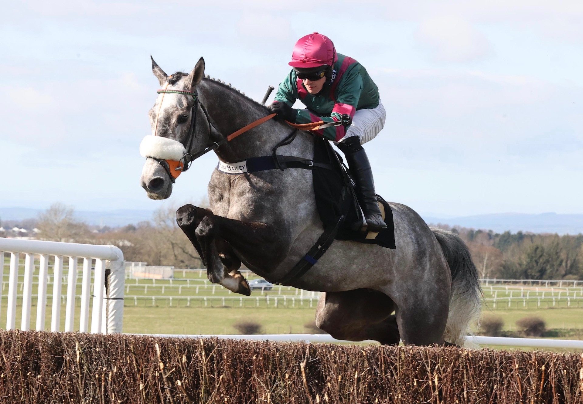 One For Rosie (Getaway) Wins The Novices Chase At Carlisle