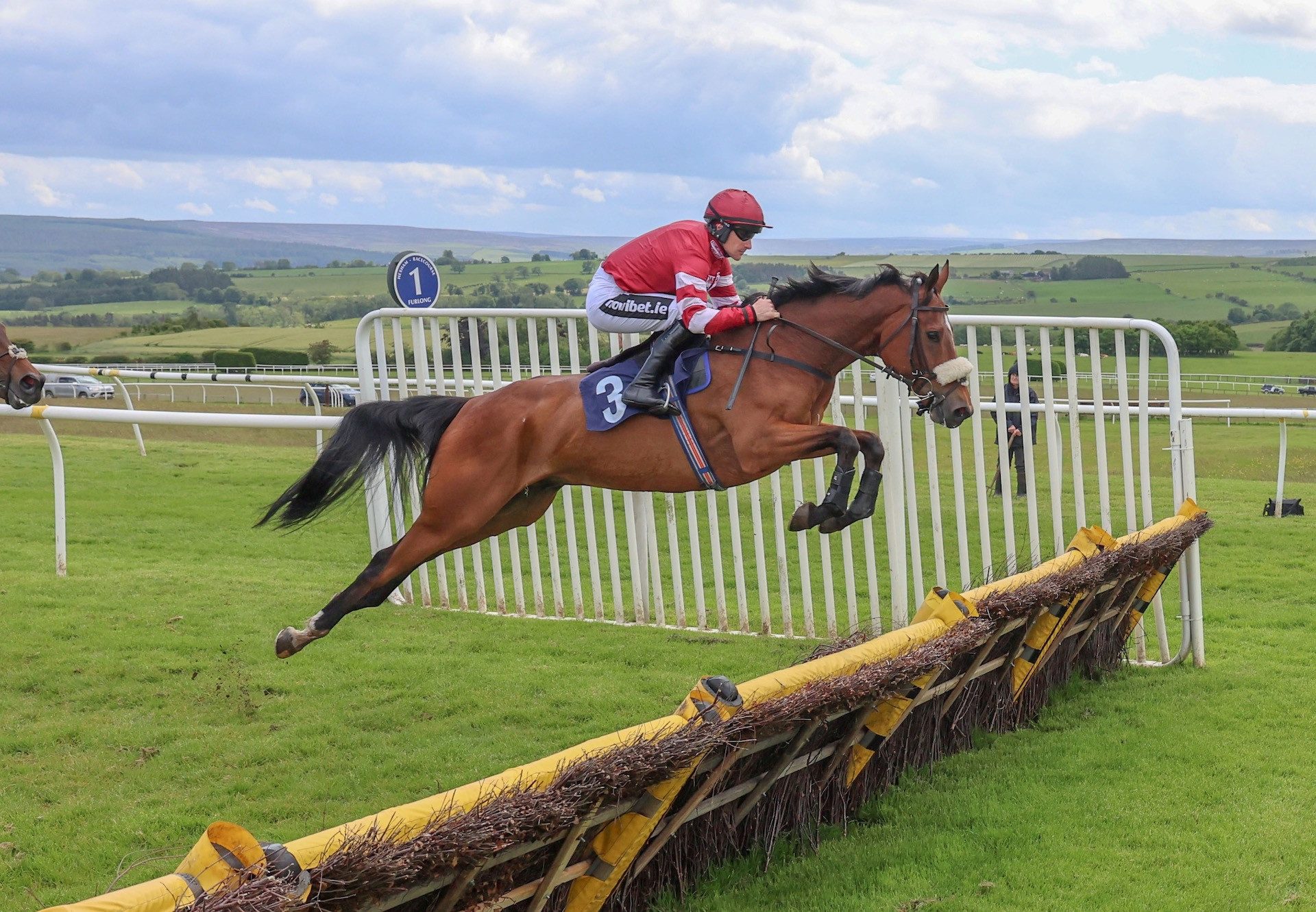 Onward Route (Yeats) Wins The Novices Hurdle At Hexham