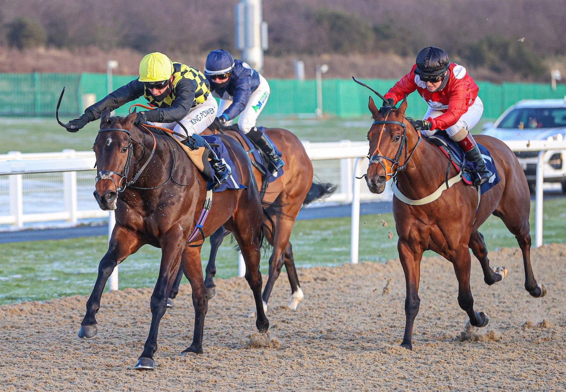 Oo De Lally (Vadamos) Wins At Newcastle