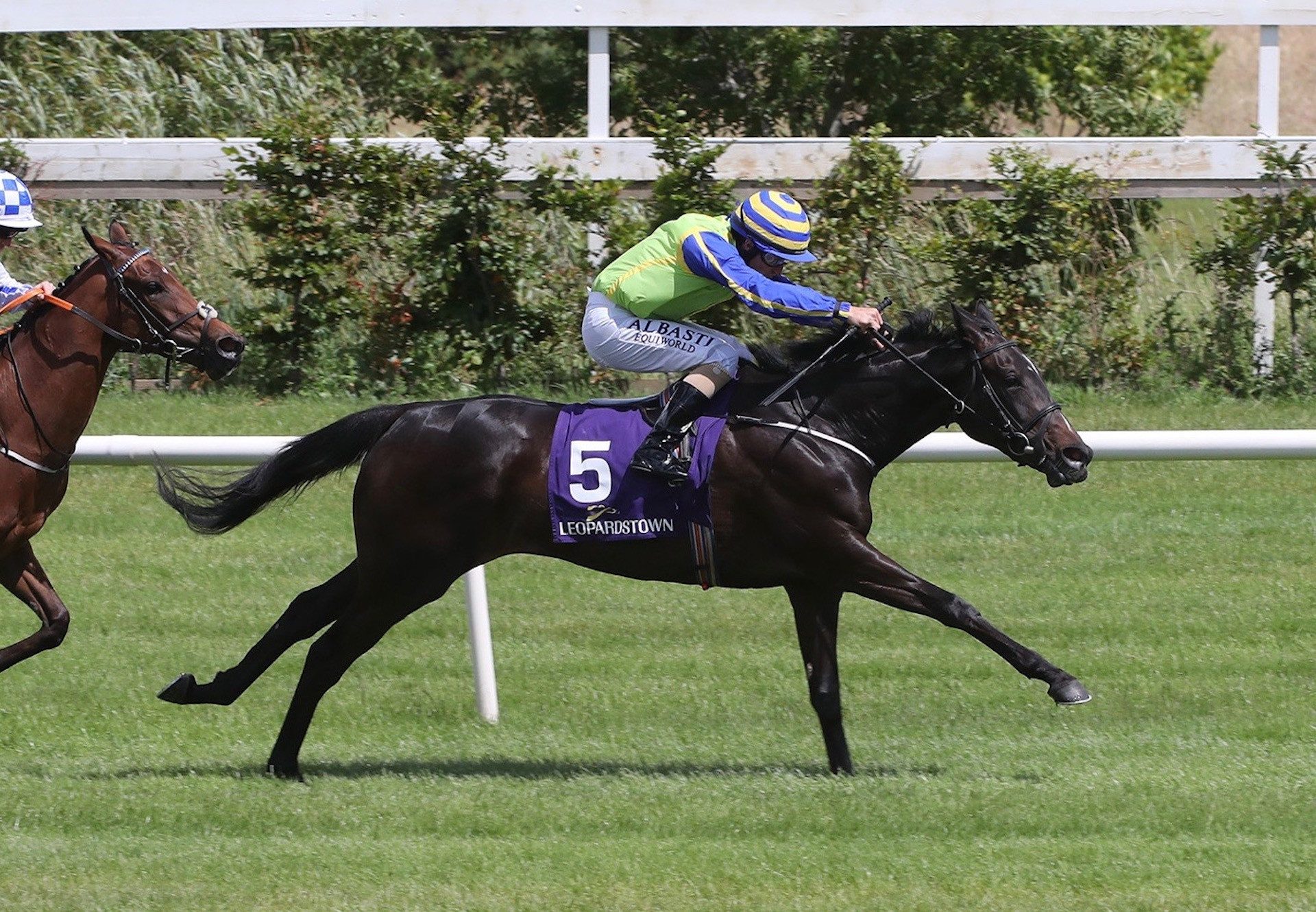 Oodnadatta (Australia) Makes A Winning Debut At Leopardstown