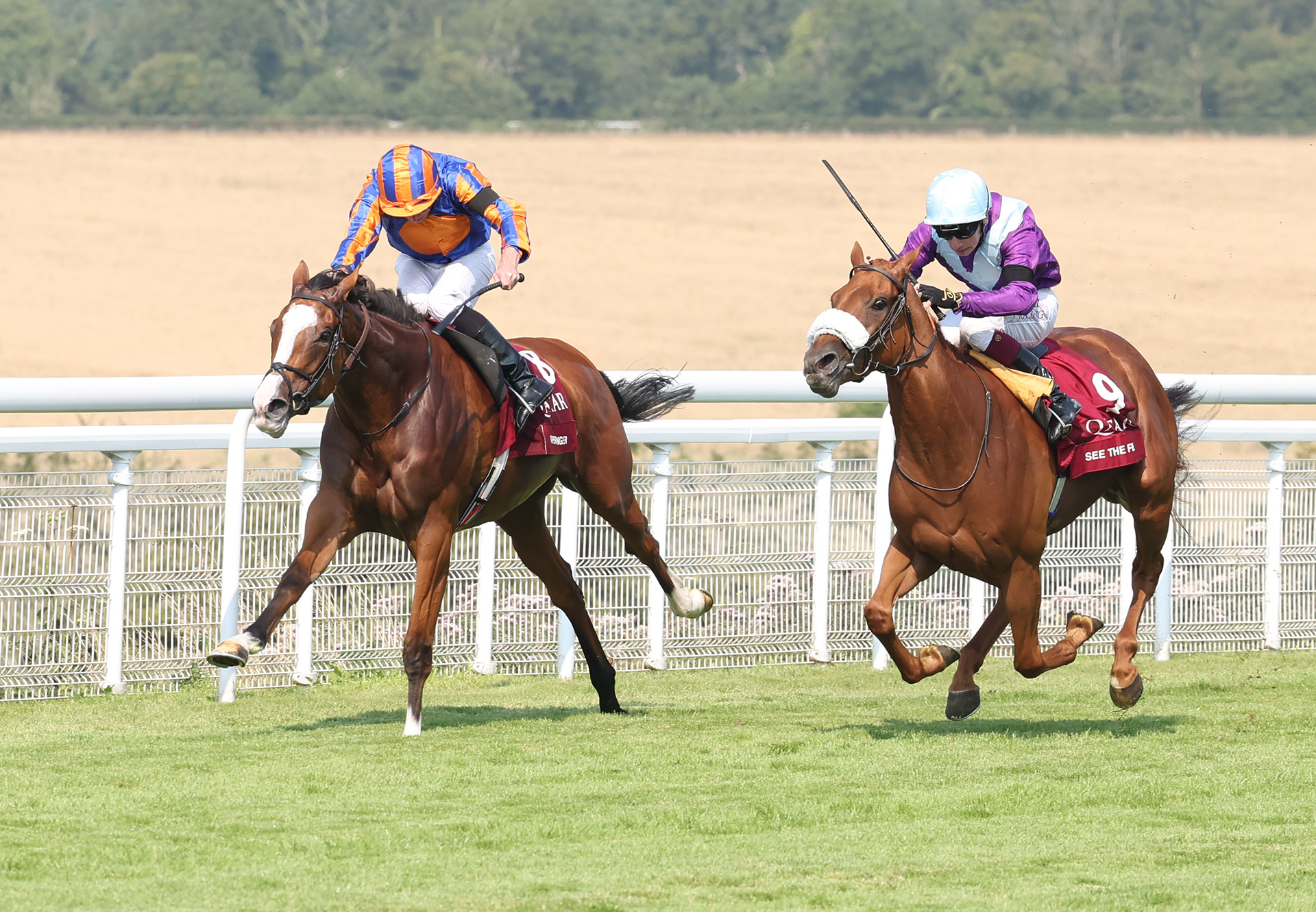 Opera Singer (Justify) Wins Gr 1 Nassau