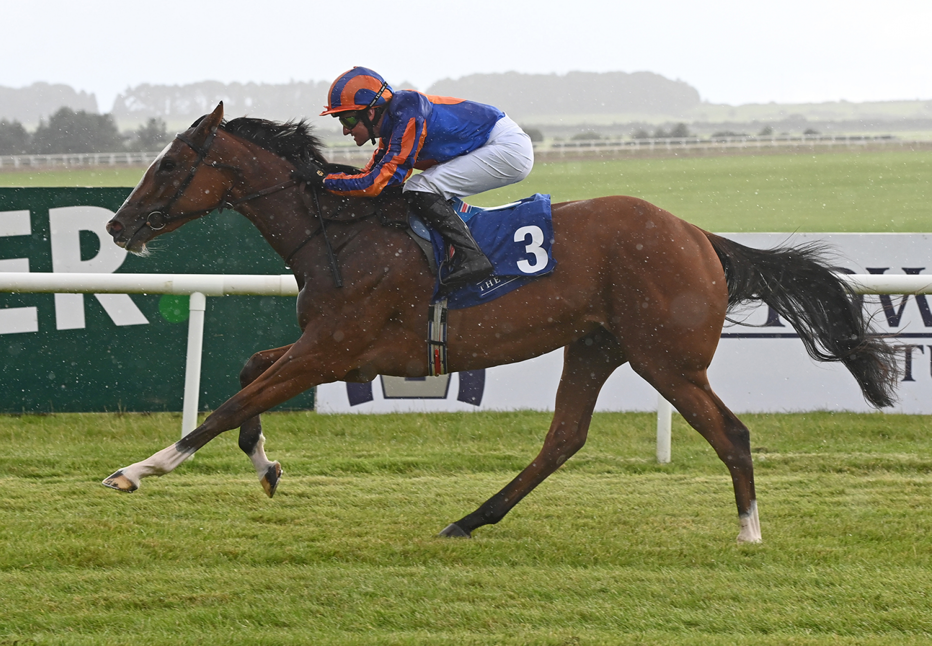 Opera Singer (Justify) Wins Gr.3 Newtownanner Stud Stakes at the Curragh