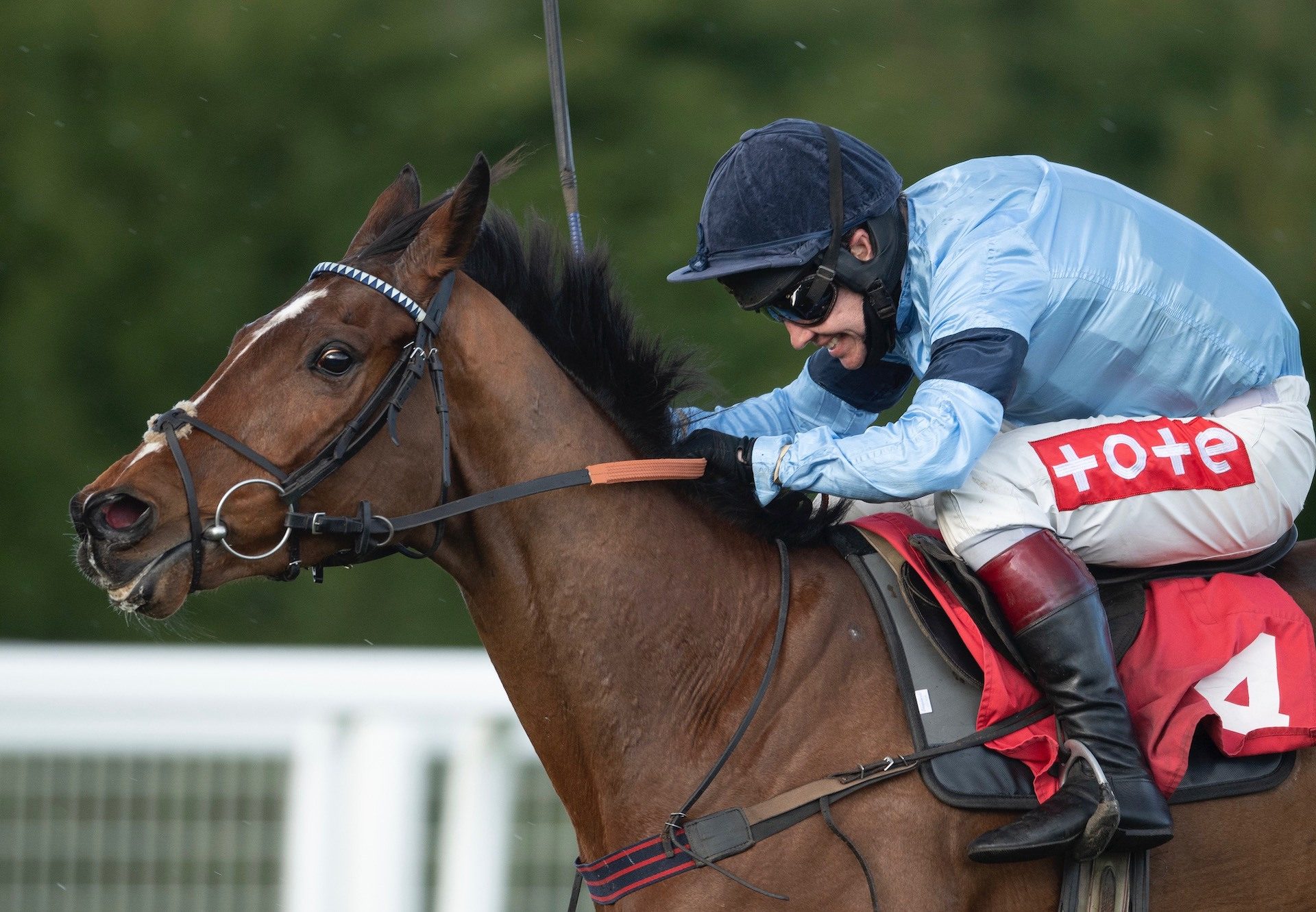 Orby's Legend (Milan) Wins The Novices Hurdle At Sandown