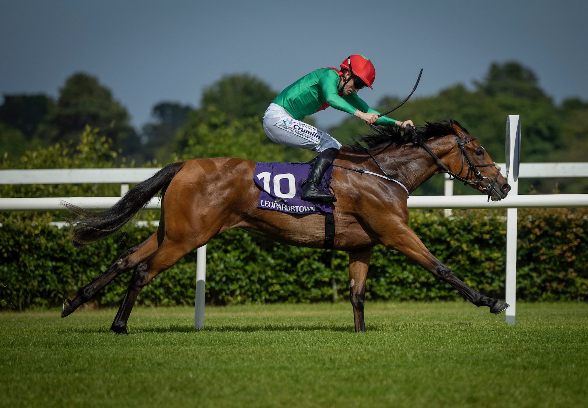 Orchidaceae (Churchill) Wins At Leopardstown