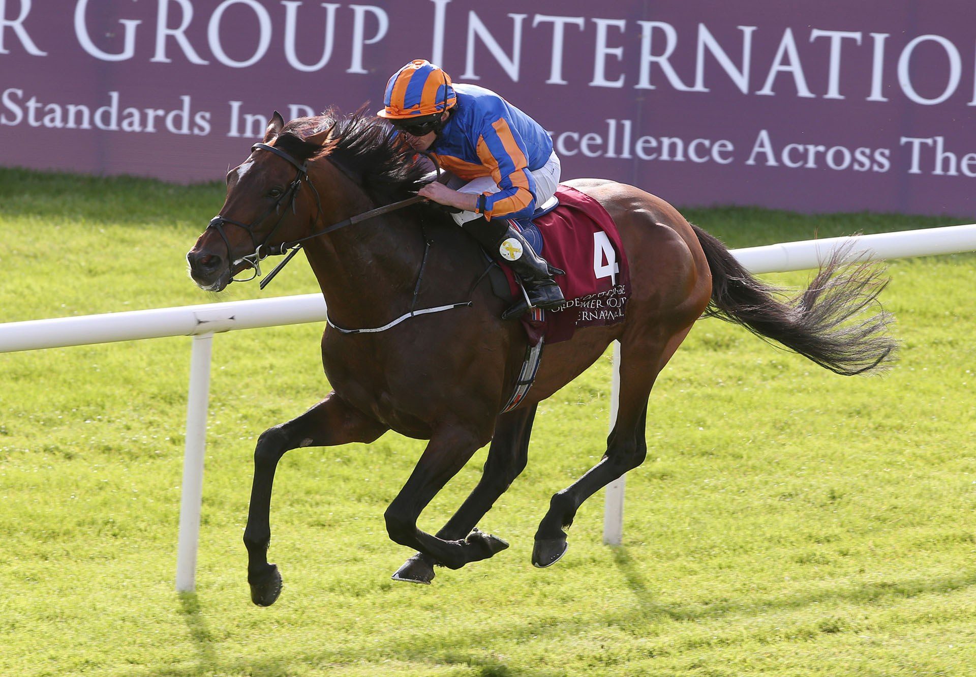 Order Of St George winning the Irish St Leger