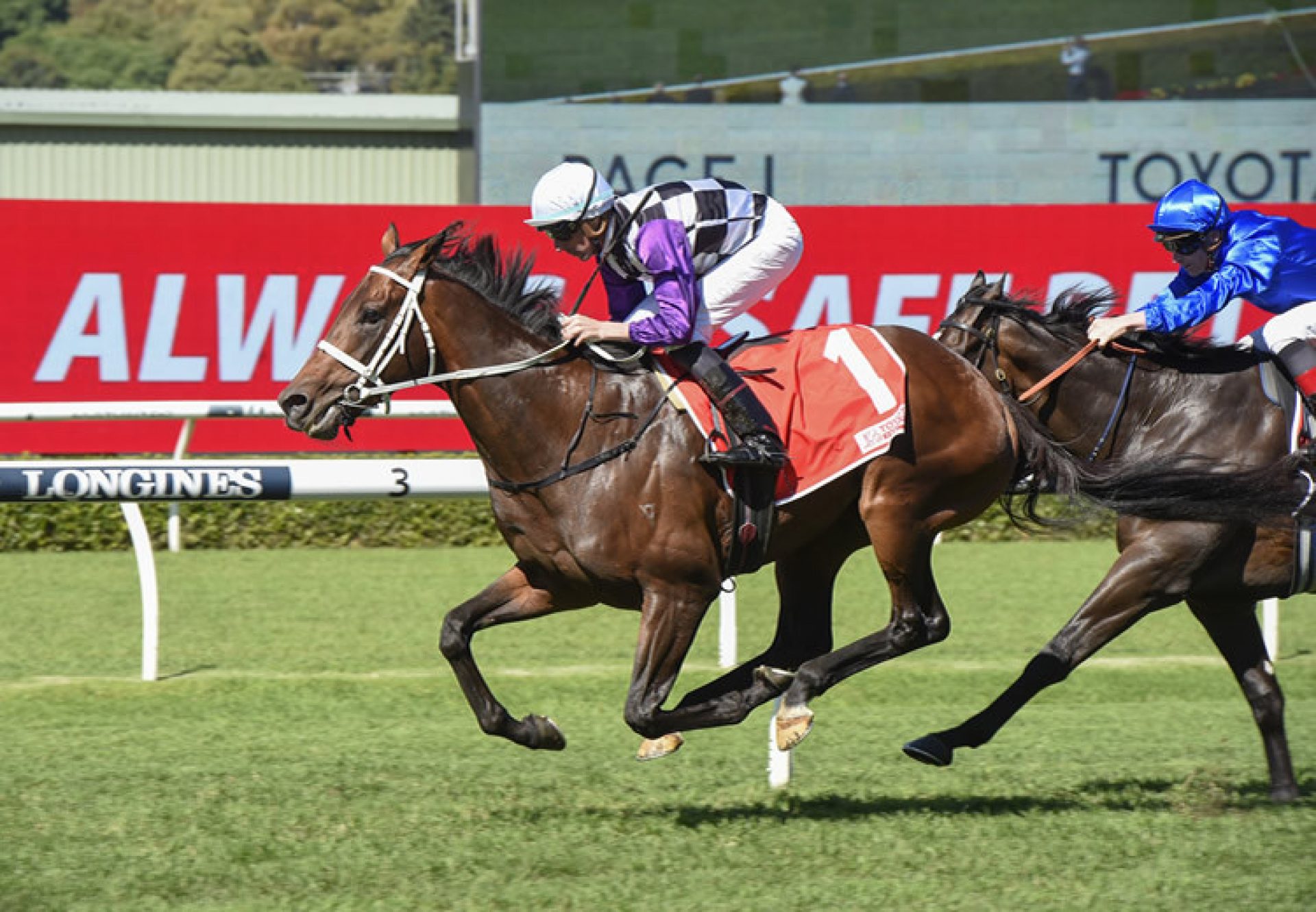 Osipenko (Pierro)  wins the Gr.3 Frank Packer Plate at Randwick