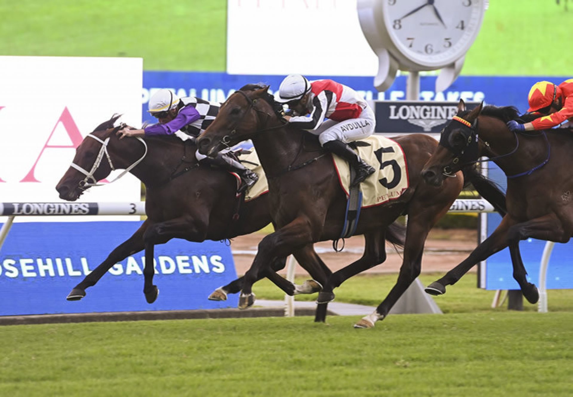 Osipenko (Pierro) wins the Gr.2 Hobartville Stakes at Rosehill