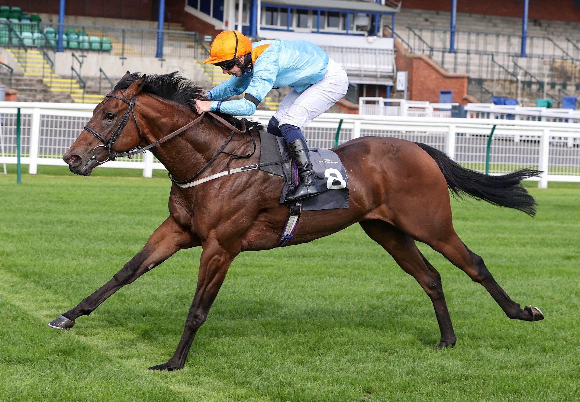 Outrun The Storm (Footstepsinthesand) Wins At Ayr