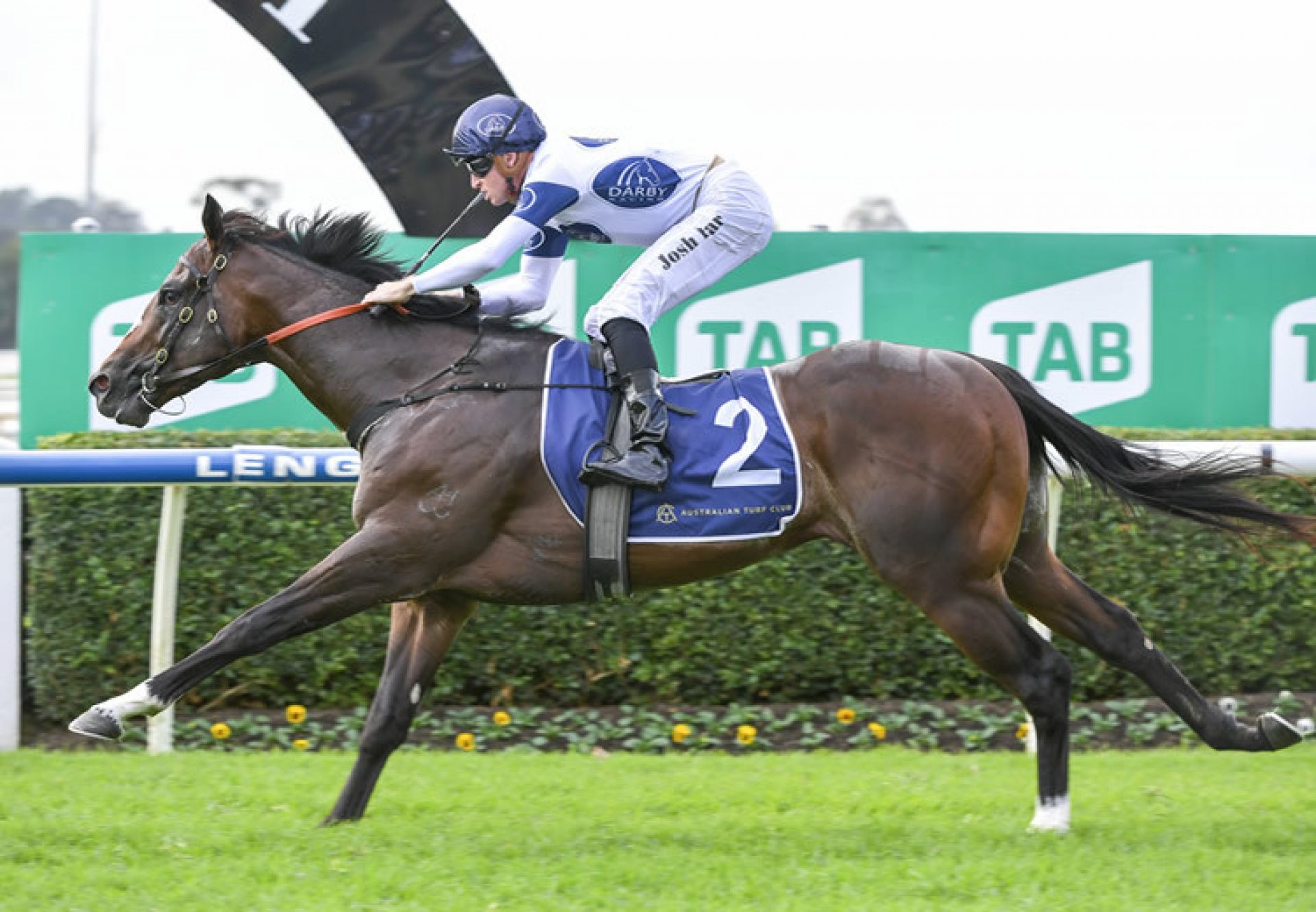 Overpass (Vancouver) winning at Warwick Farm